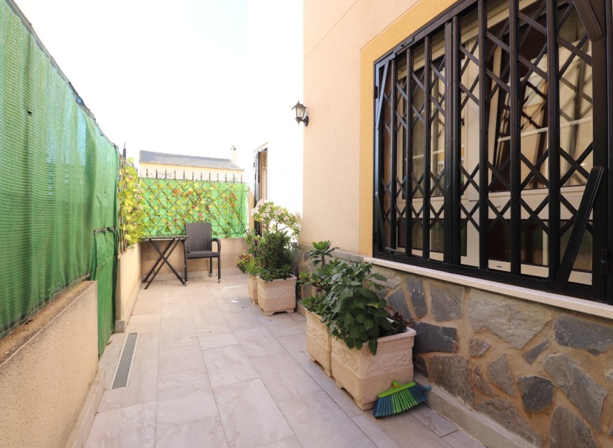 Location - Appartement - Daya Nueva