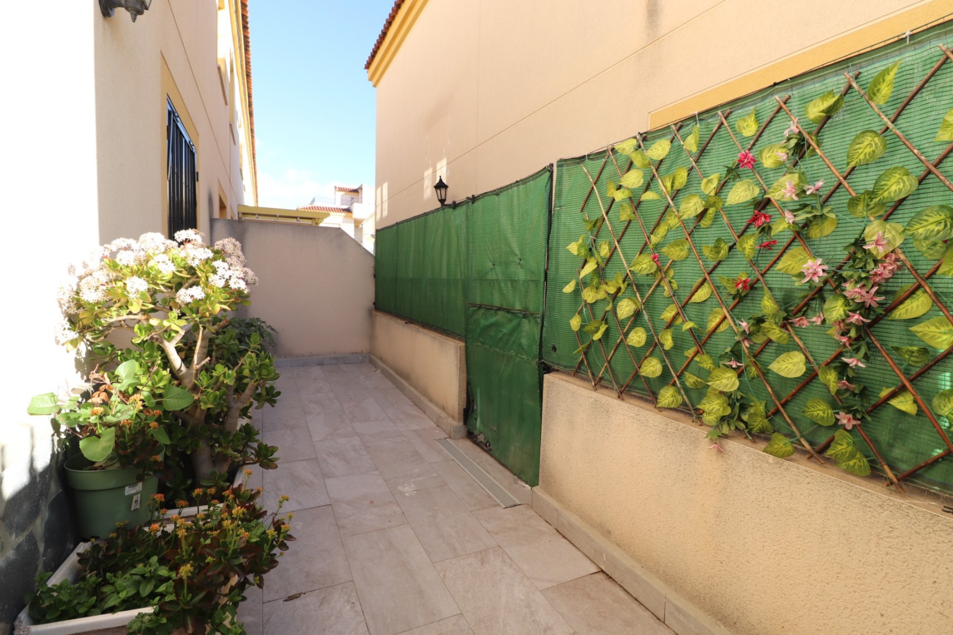 Location - Appartement - Daya Nueva