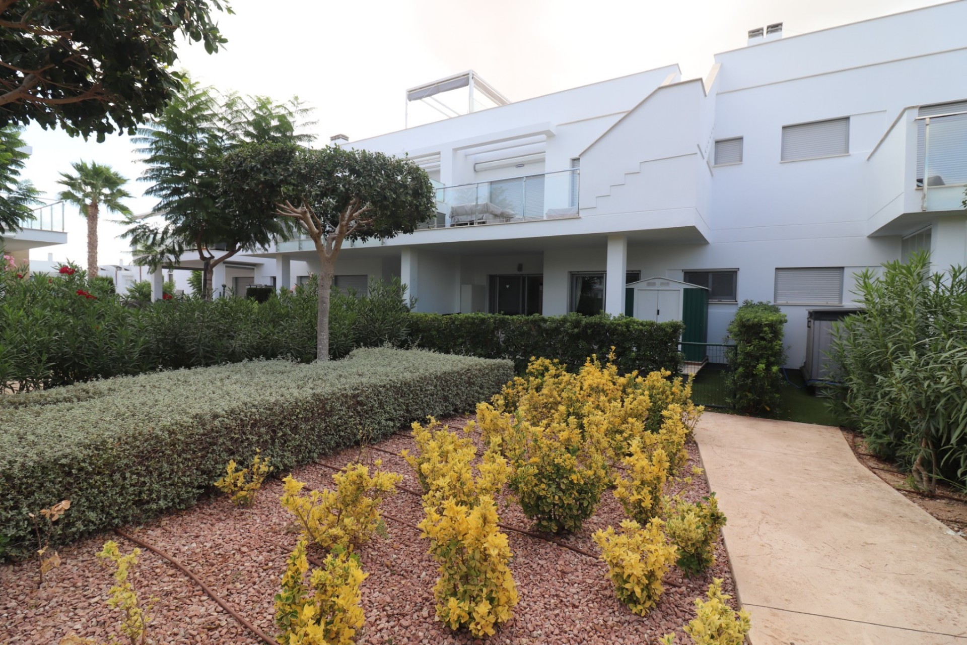 Location - Appartement - Los Montesinos - Entre Naranjos / Vistabella Golf