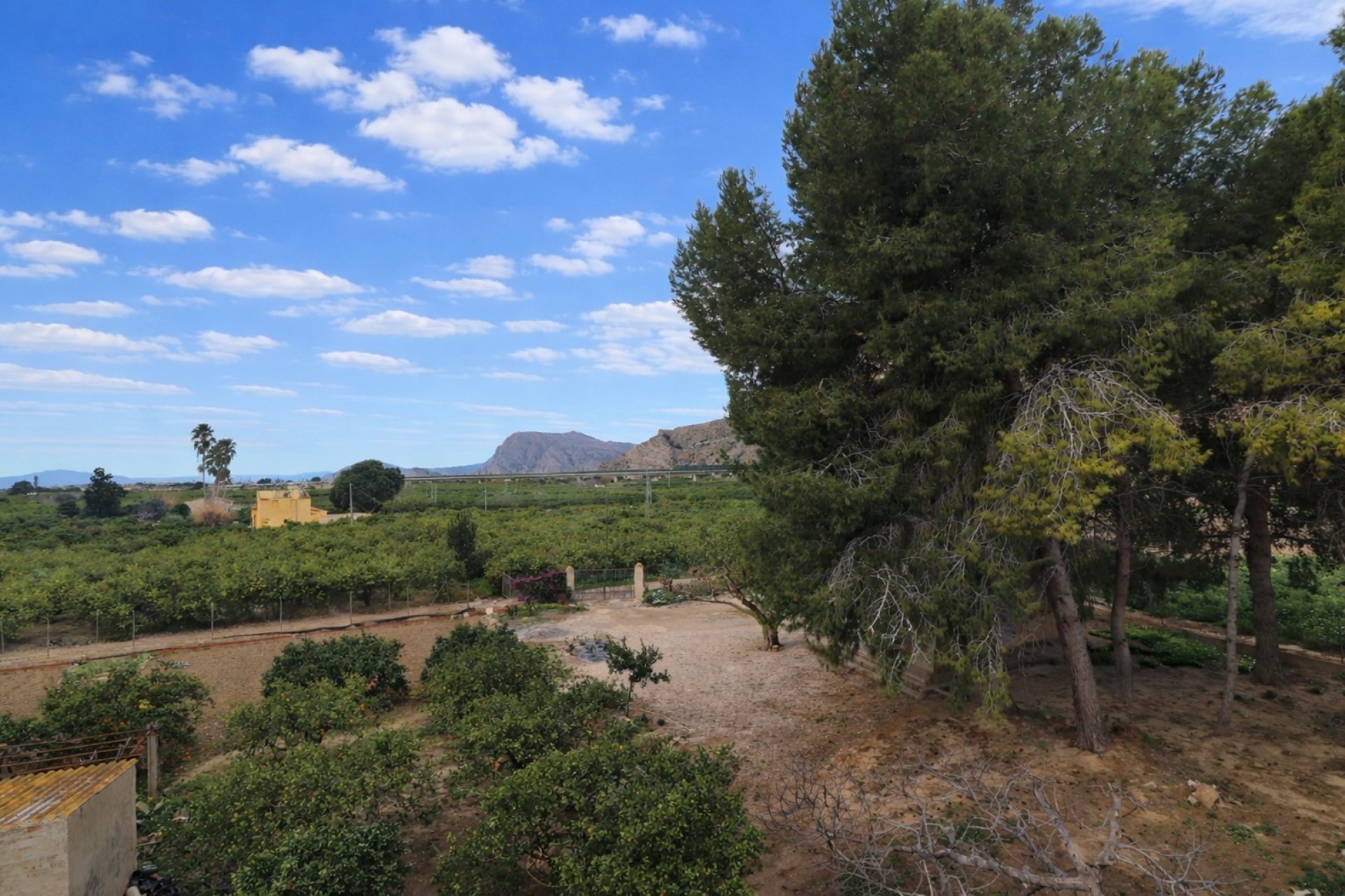 Location - Maison de Ville - Callosa de Segura - Callosa de Segura - Ville