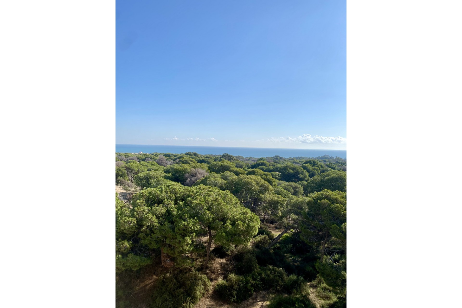 New - Apartment - Guardamar del Segura - Guardamar del Segura - Town