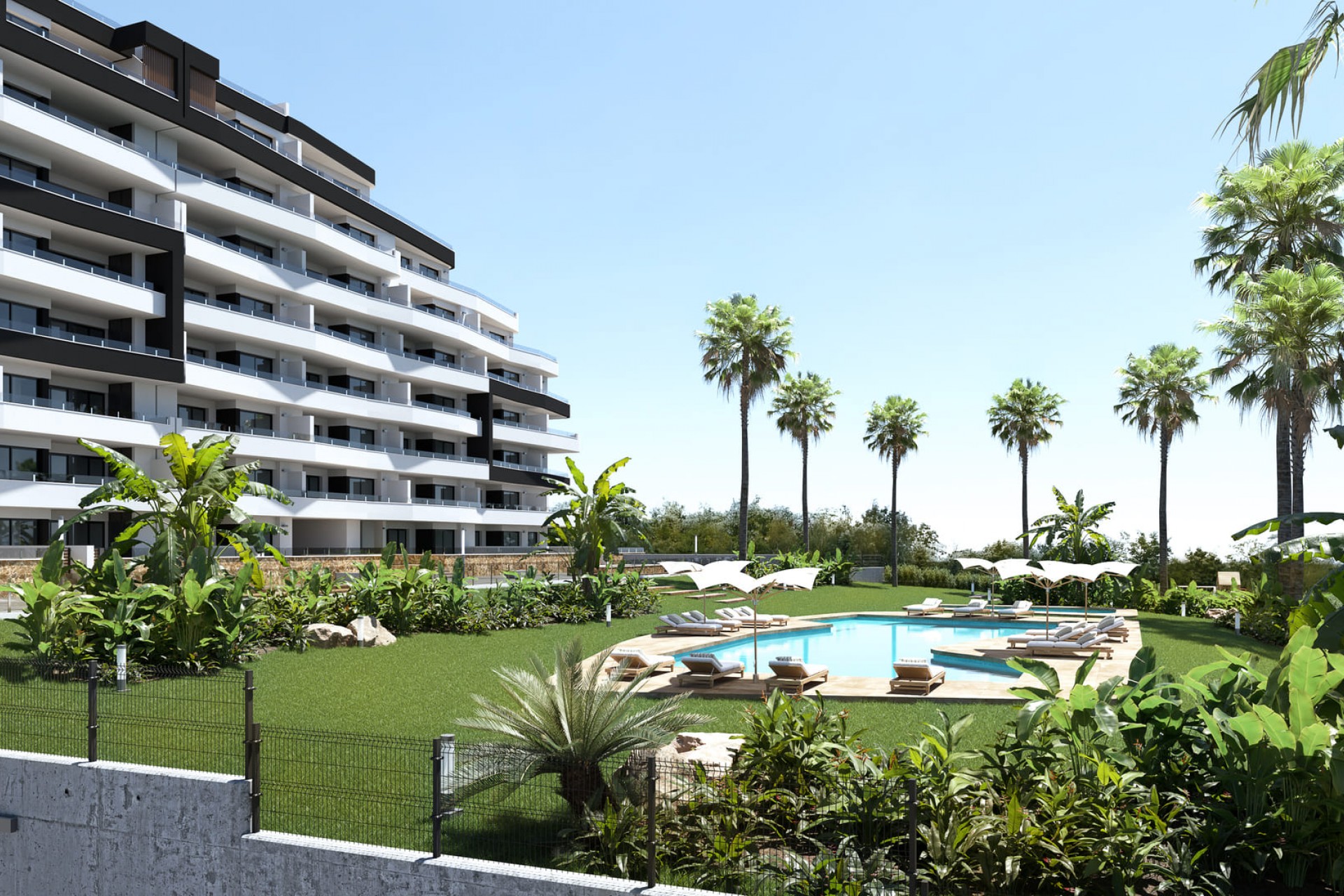 New - Apartment - San Miguel de Salinas - San Miguel - Town