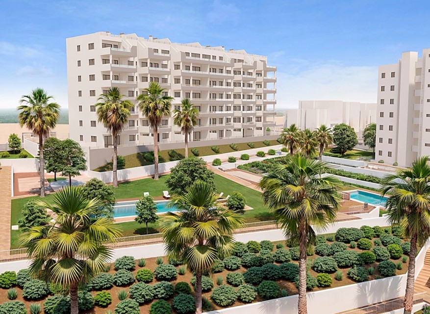 New - Apartment - San Miguel de Salinas - San Miguel - Town