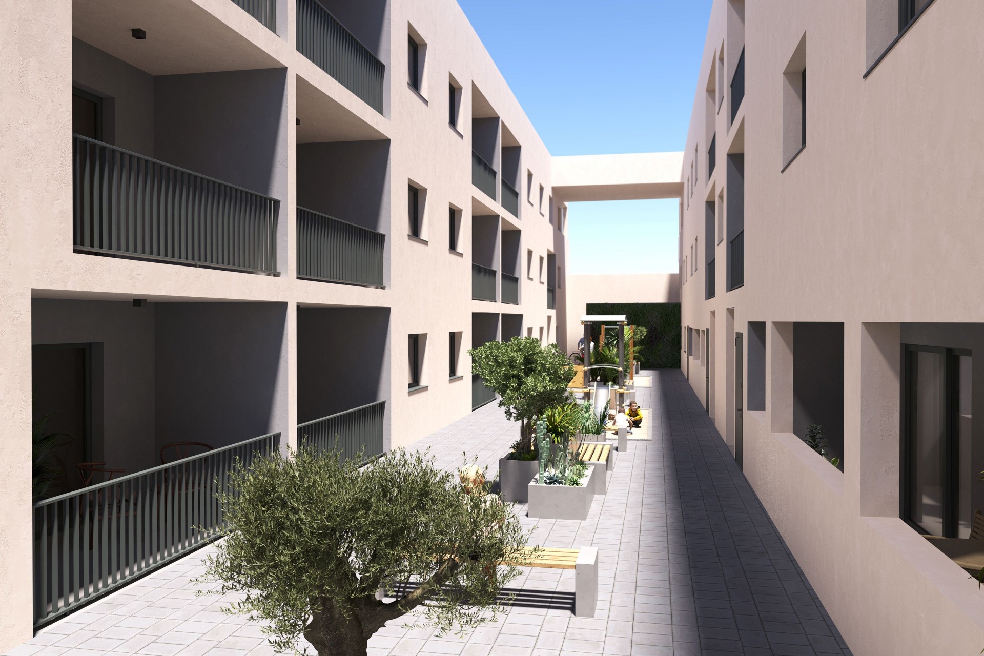 New - Apartment - San Miguel de Salinas - San Miguel - Town