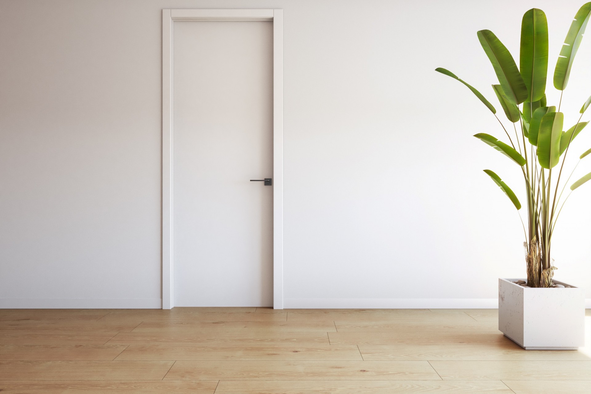 New - Apartment - Torrevieja - Torrevieja - Centre