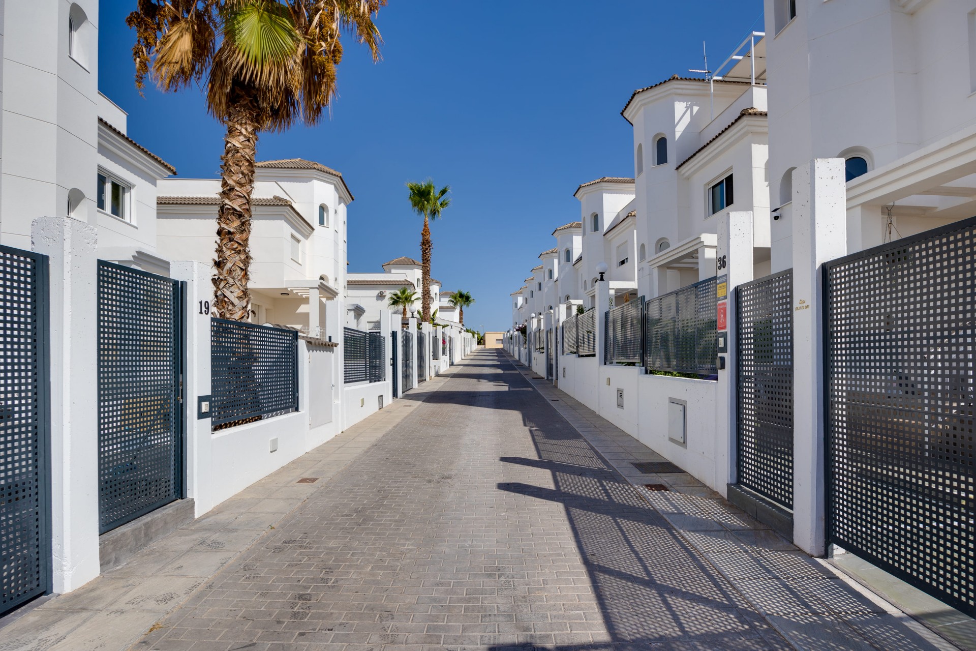 New - Detached Villa - La Marina - La Marina - Urbanization