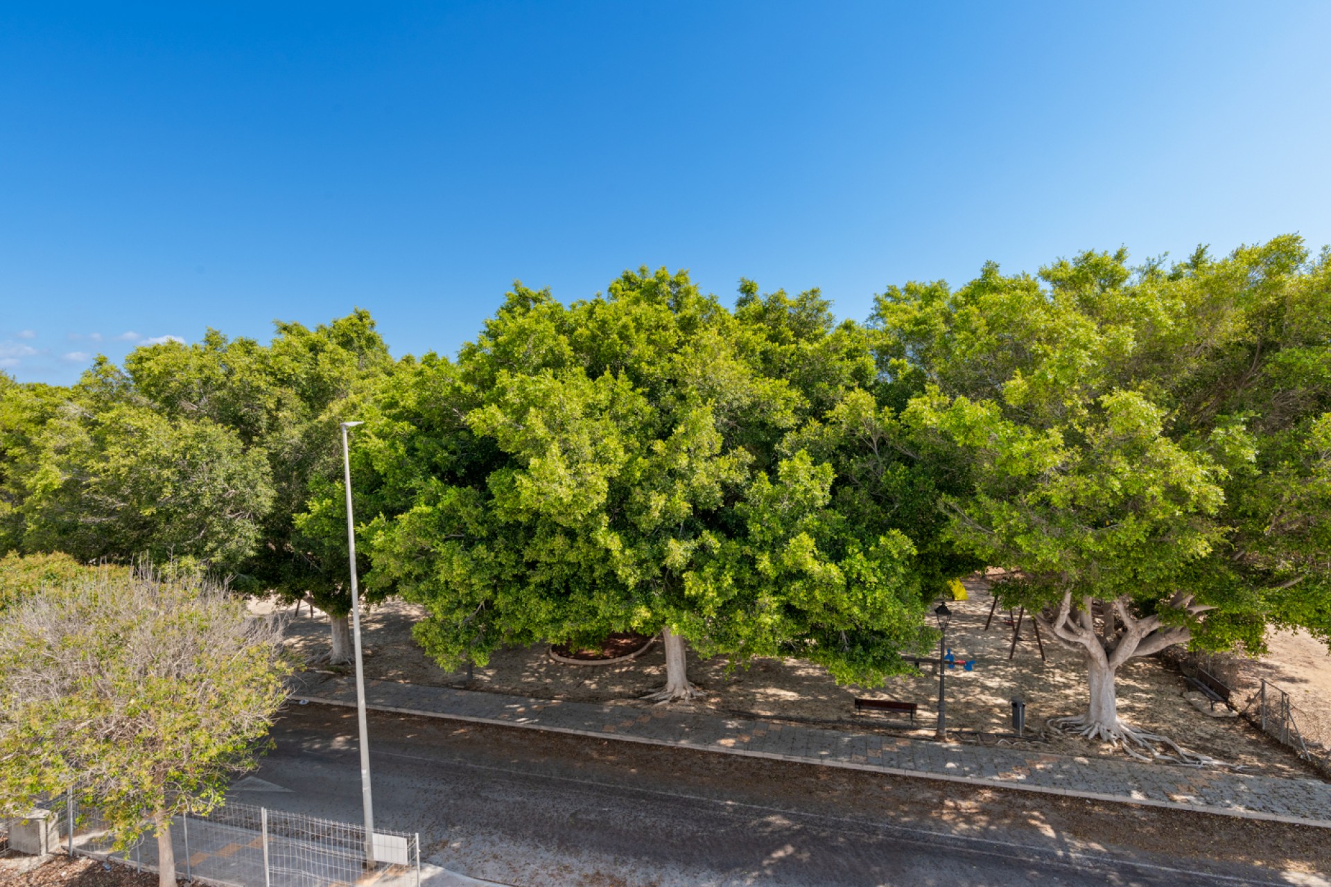 New - Detached Villa - Pilar de La Horadada - Pilar de La Horadada - Town