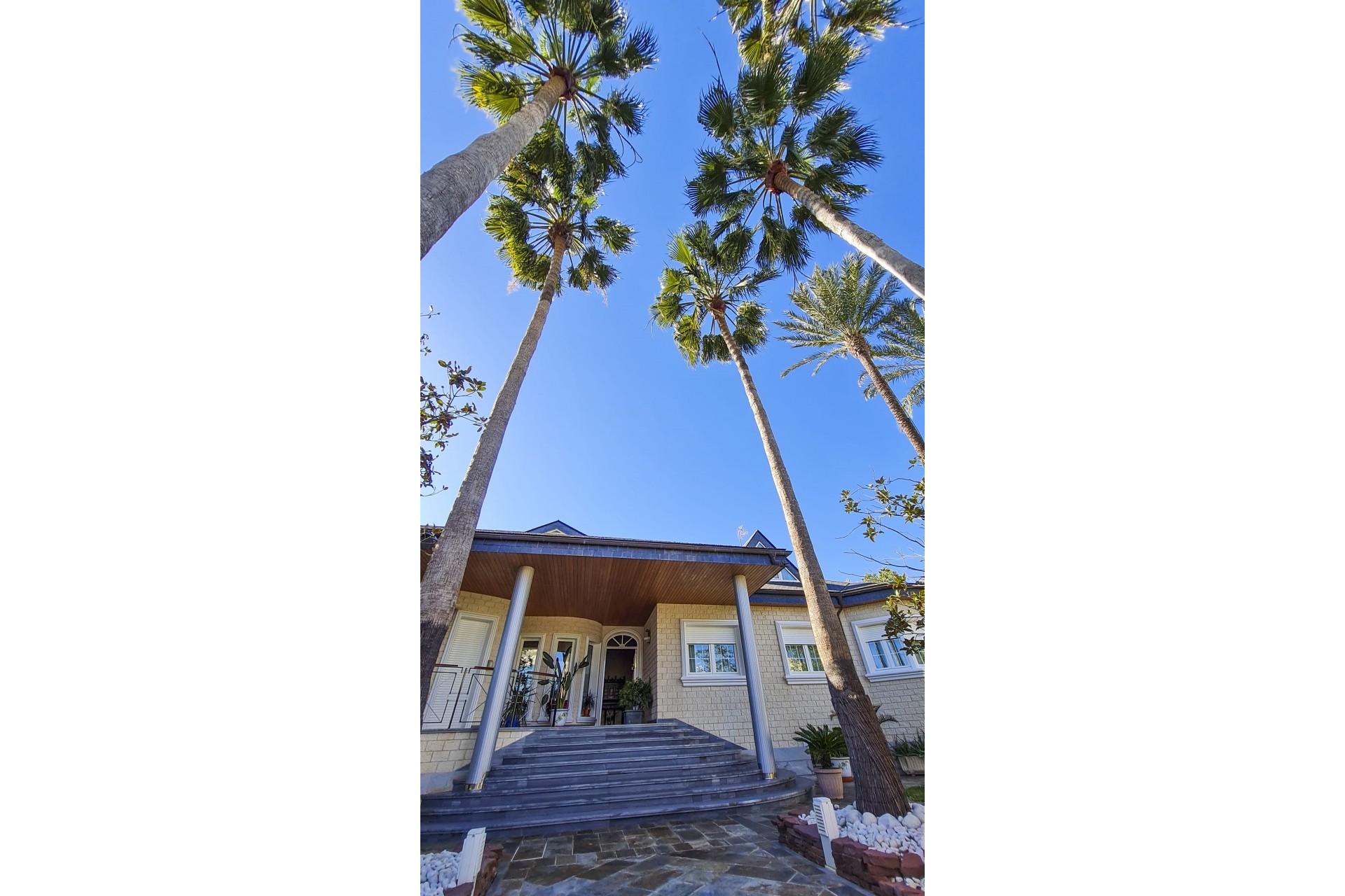 New - Detached Villa - San Pedro del Pinatar - San Pedro del Pinatar - Town