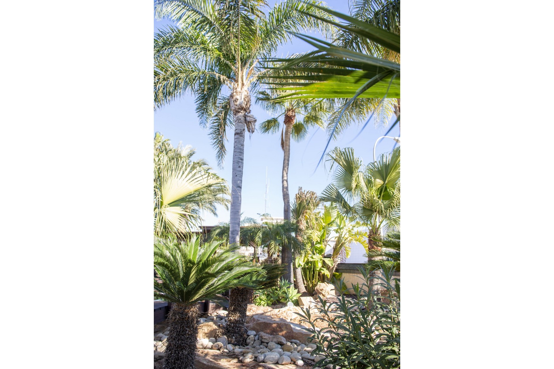 New - Detached Villa - San Pedro del Pinatar - San Pedro del Pinatar - Town