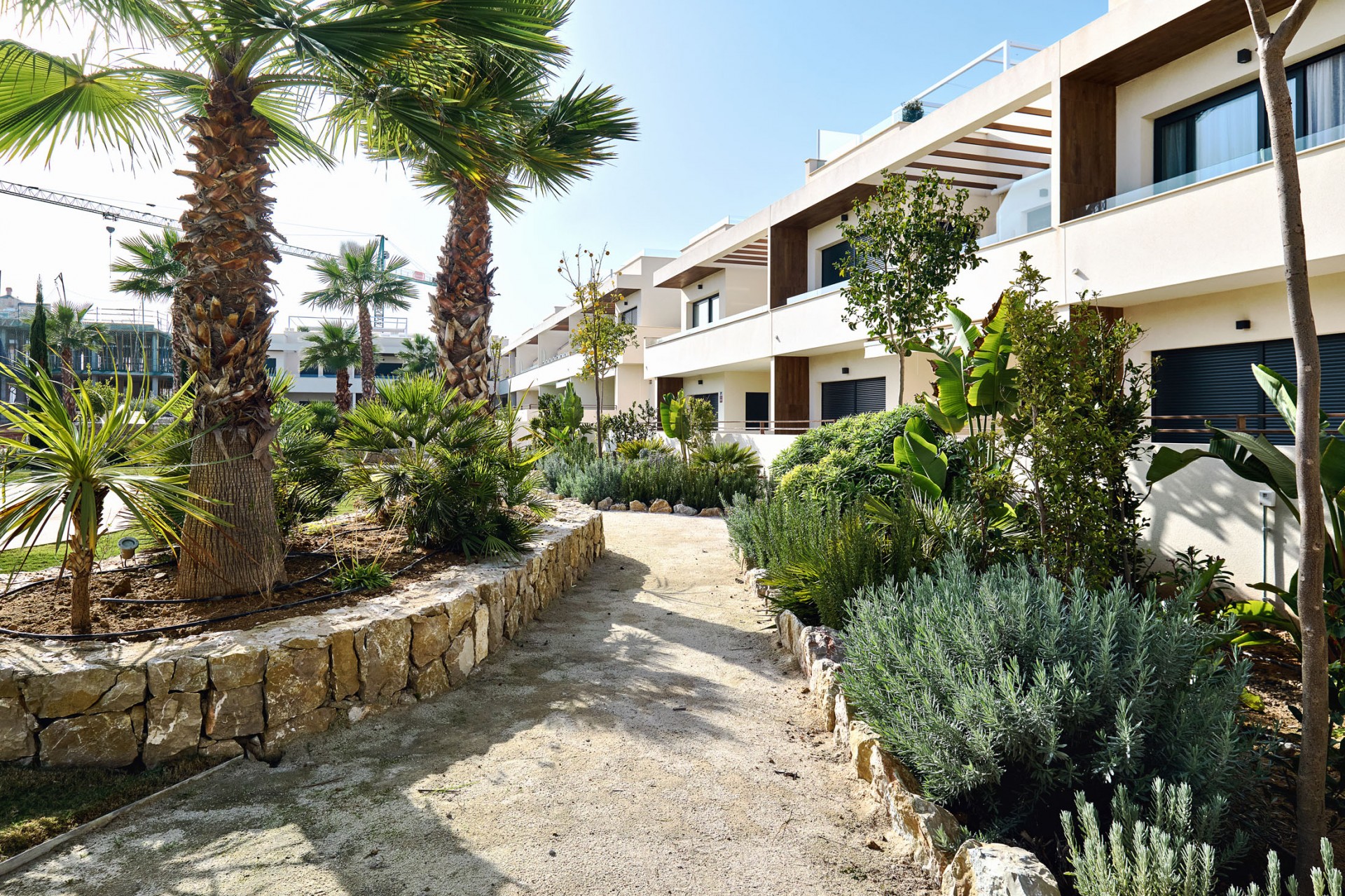 Nieuw - Appartement - Torrevieja - Mar Azul