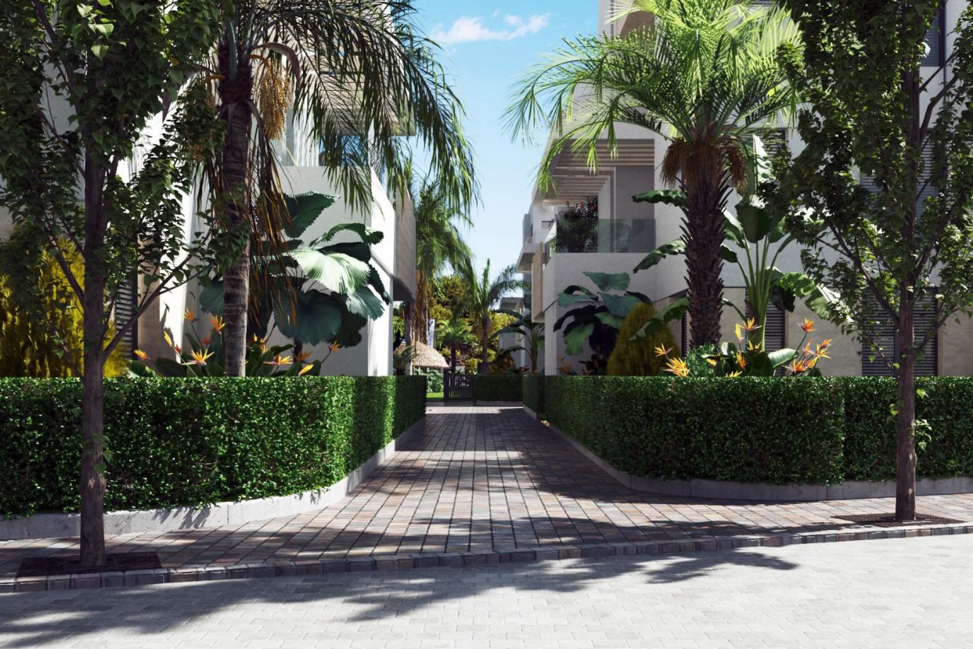 Nouveau - Appartement - Santa Rosalía - Santa Rosalía Lake & Life Resort