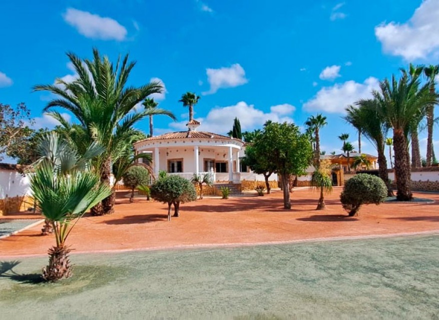 Nouveau - Maison de Campagne - Catral - Catral - Domaine