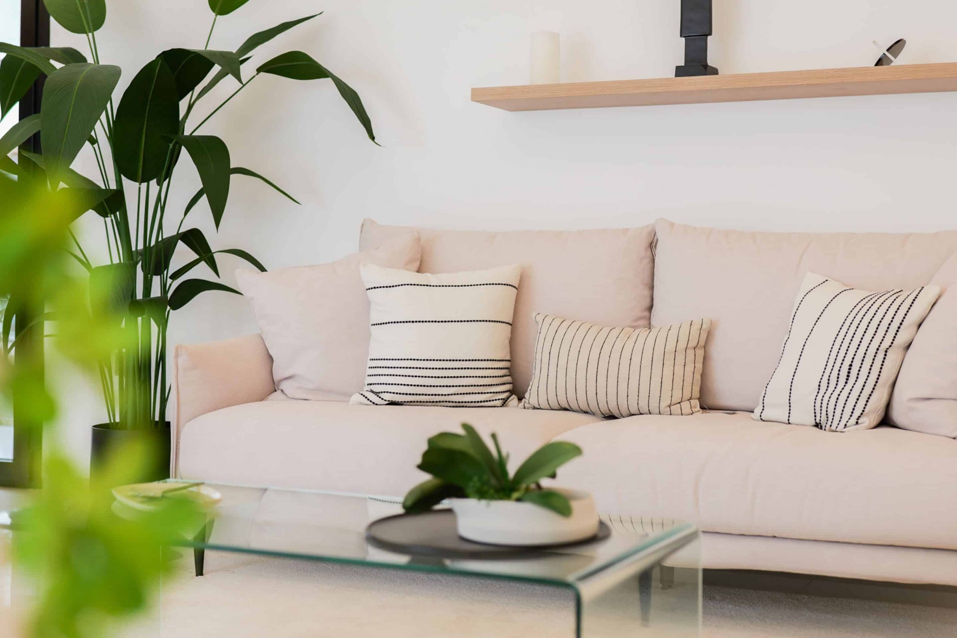 Nouveau - Villa - Ciudad Quesada - Doña Pepa