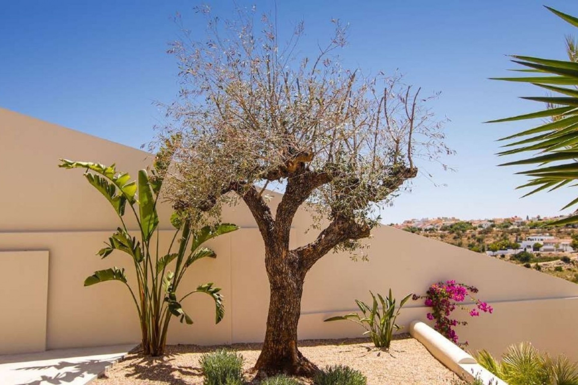 Nouveau - Villa - La Marina - La Escuera