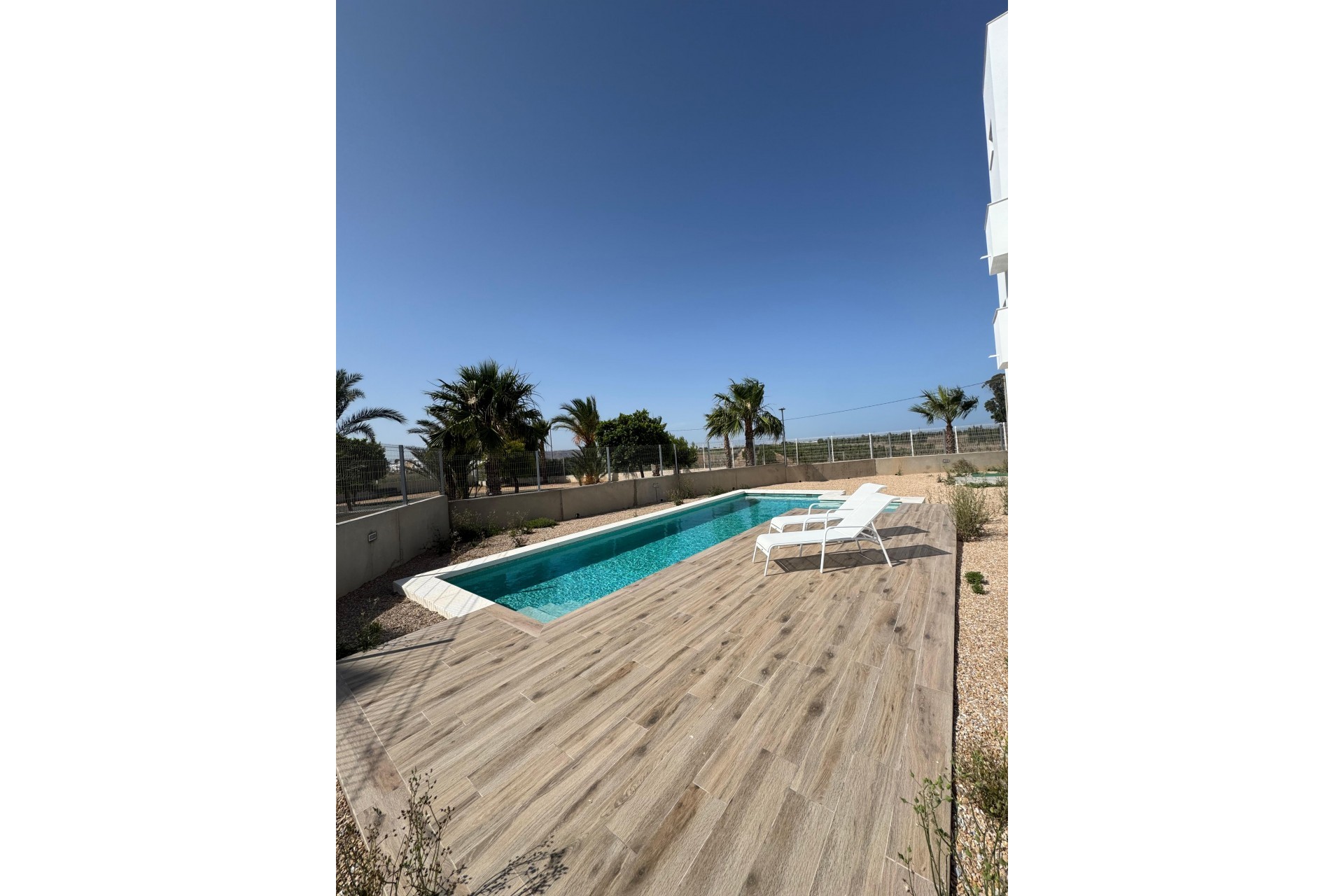 Nueva - Apartamento - Santa Rosalía