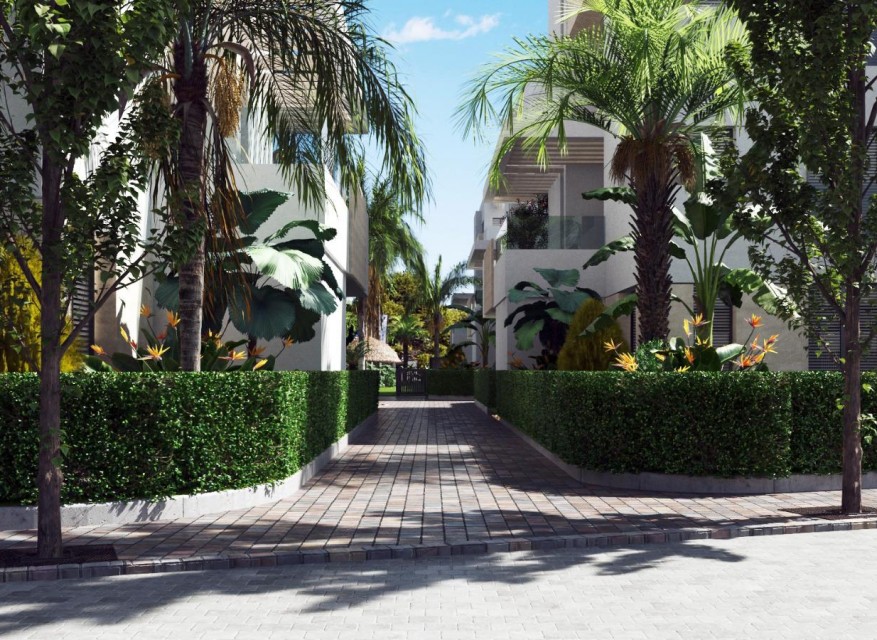 Nueva - Apartamento - Torre-Pacheco