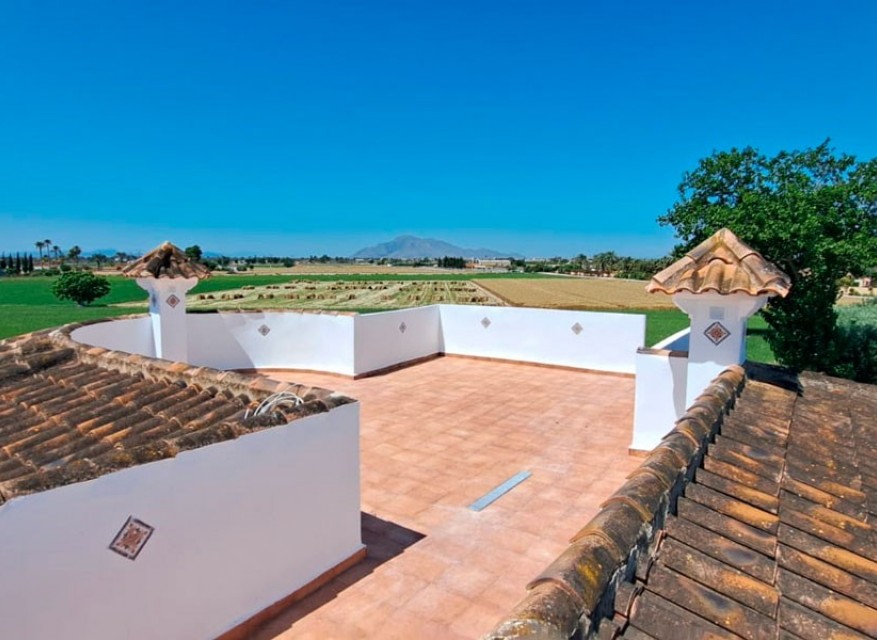 Nueva - Casa de Campo - Catral - Catral - Campo