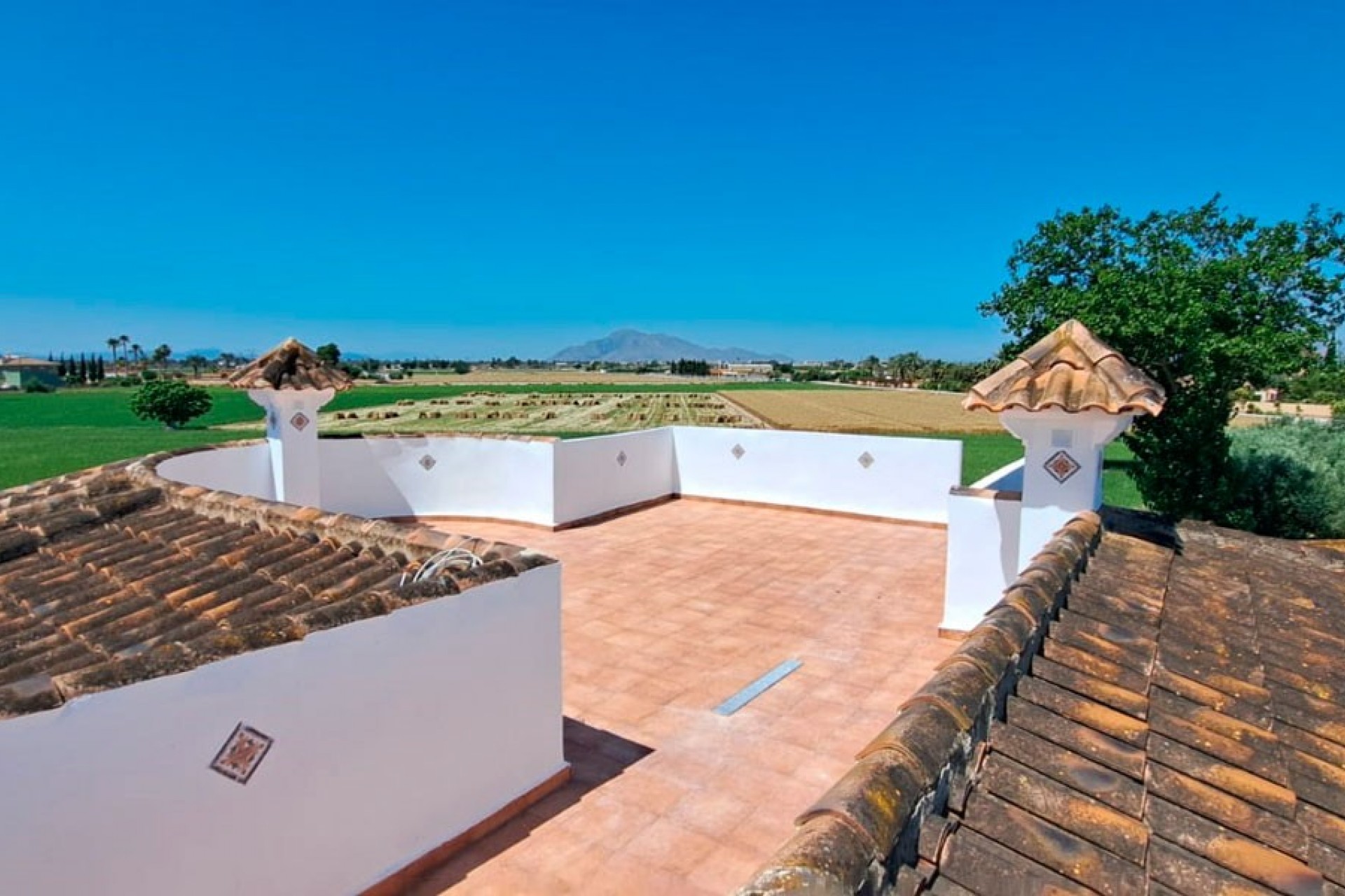 Nueva - Casa de Campo - Catral - Catral - Campo