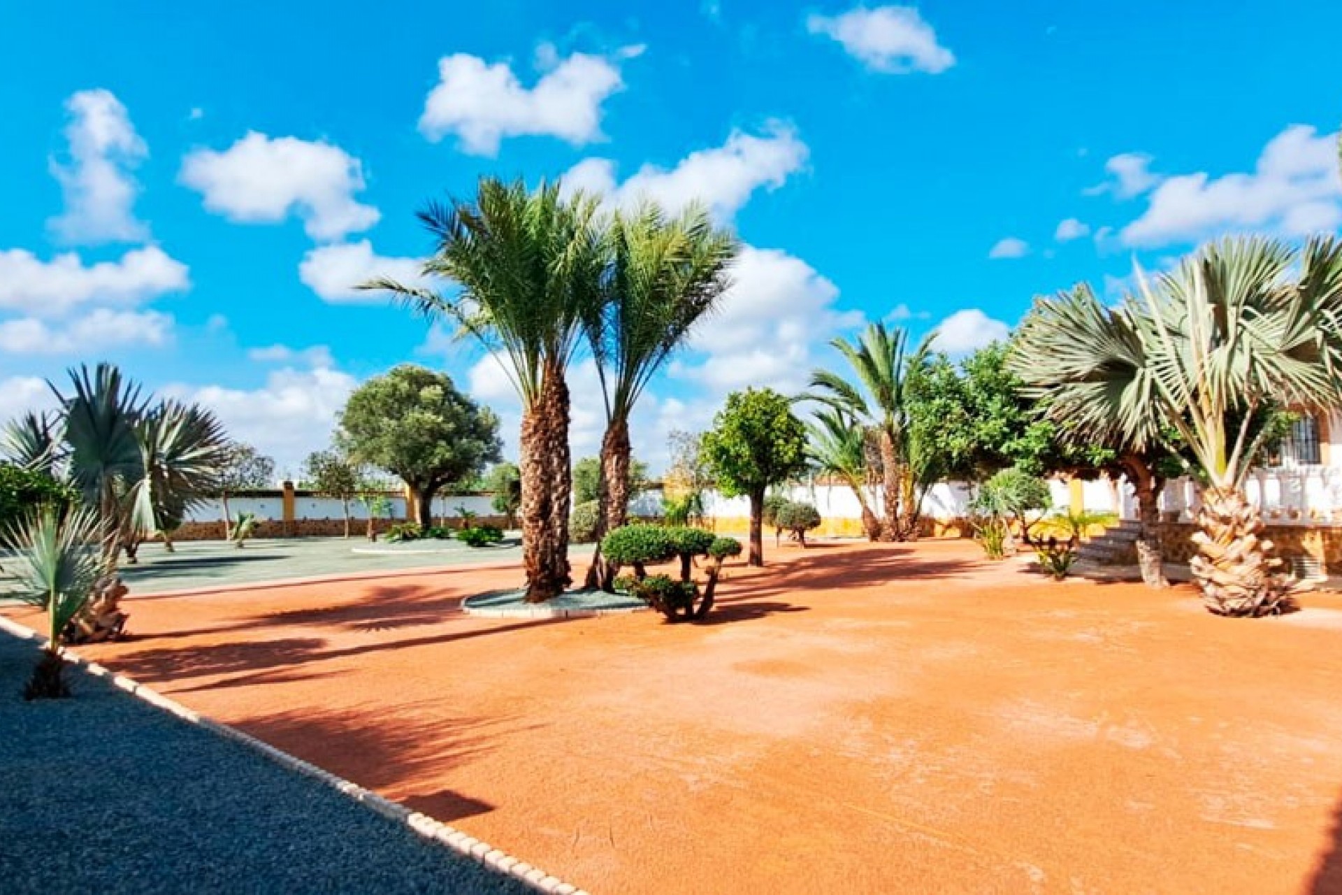 Nueva - Casa de Campo - Catral - Catral - Campo