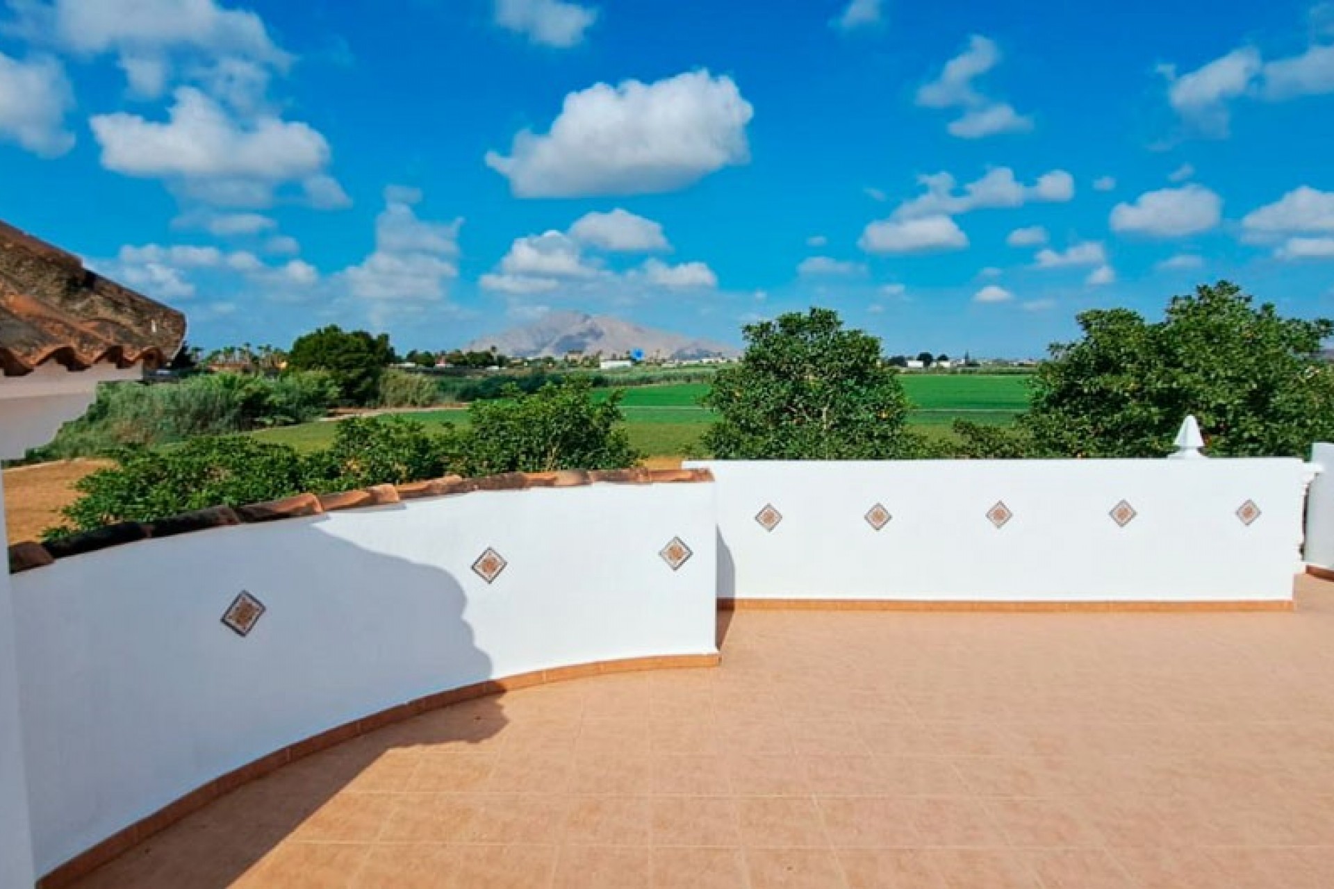 Nueva - Casa de Campo - Catral - Catral - Campo