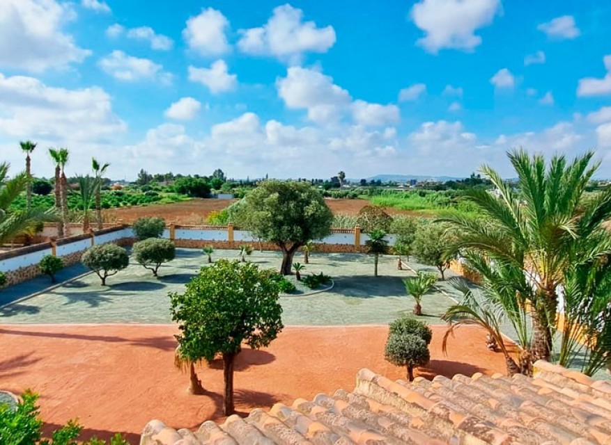 Nueva - Casa de Campo - Catral - Catral - Campo