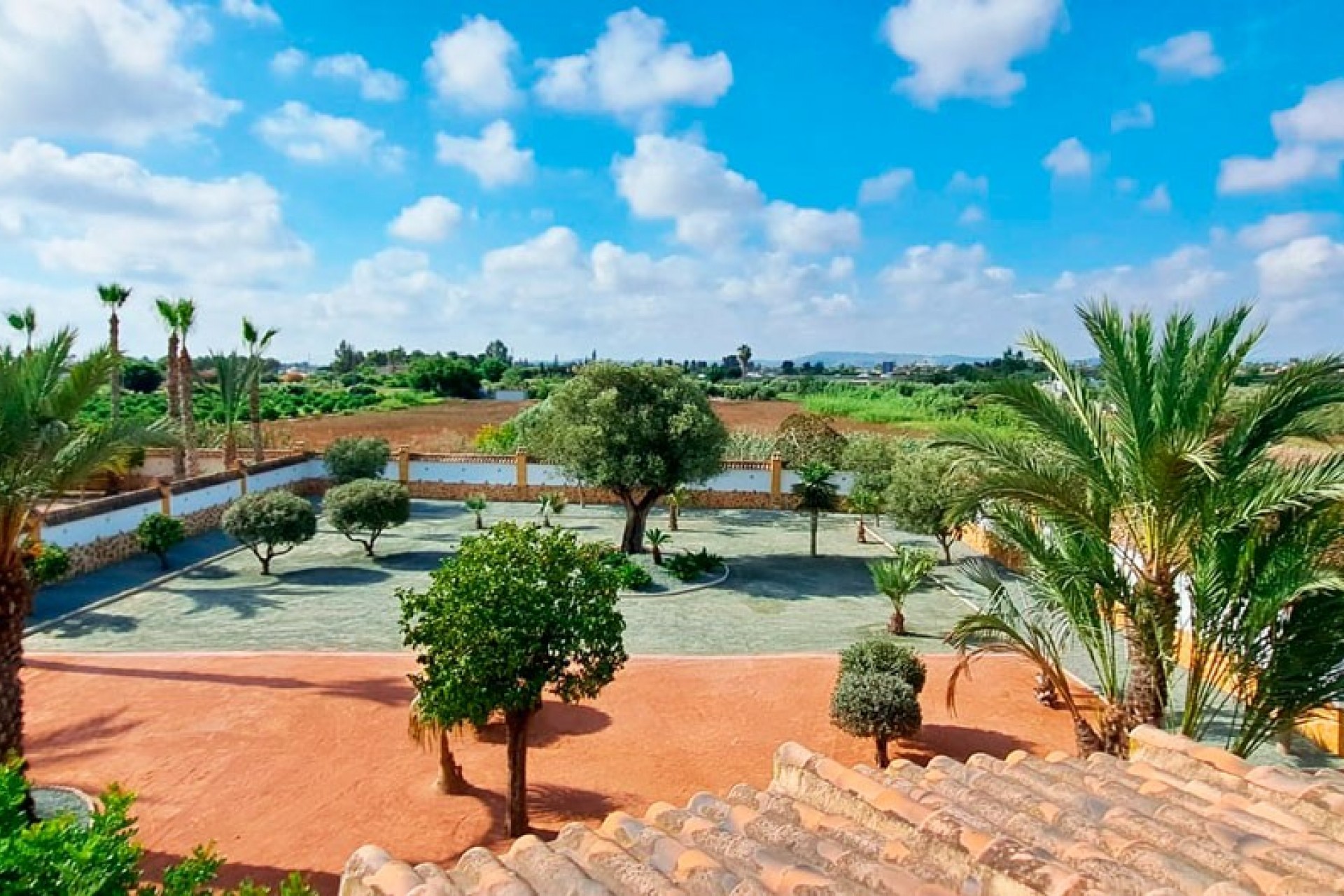 Nueva - Casa de Campo - Catral - Catral - Campo