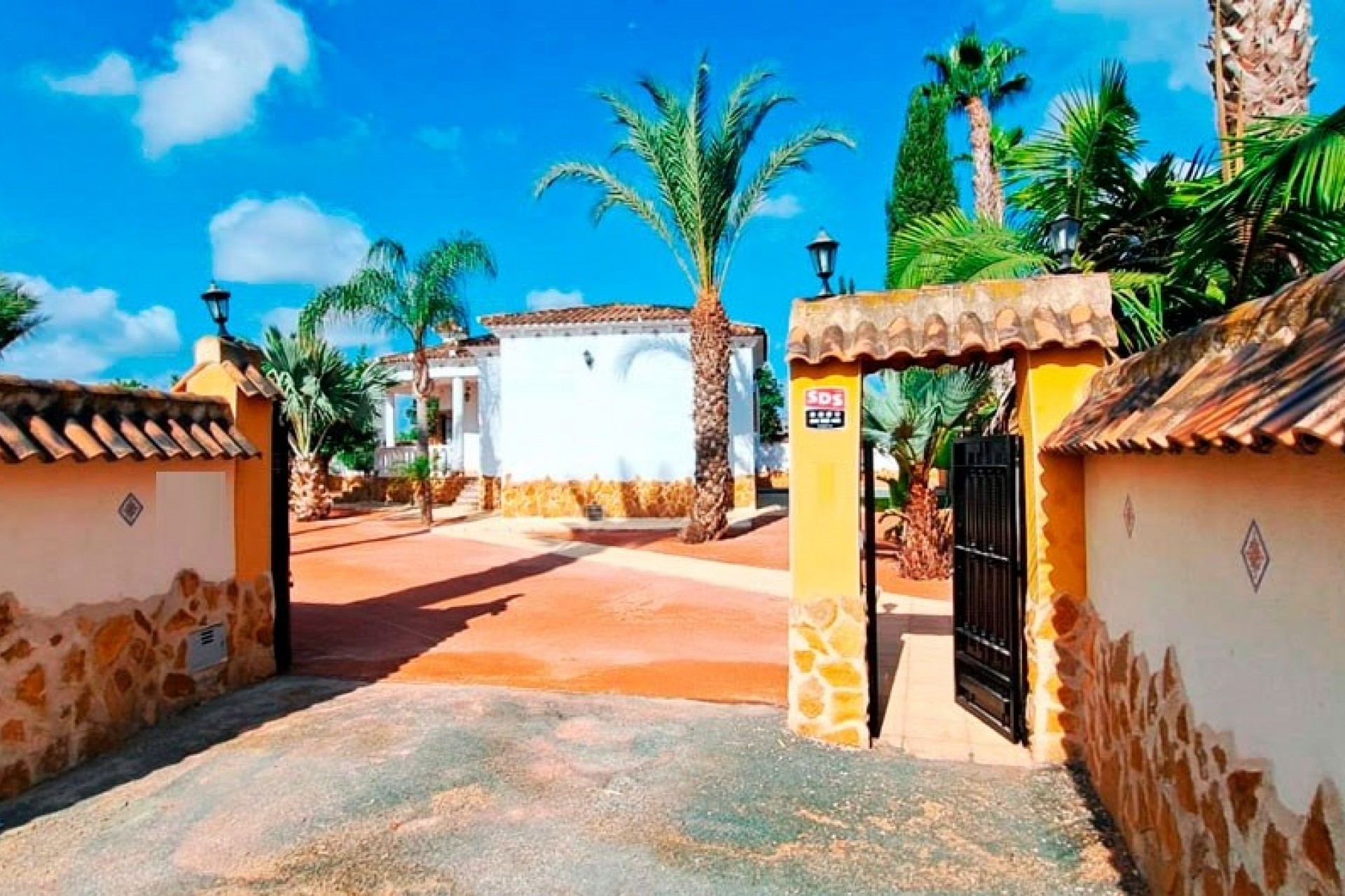 Nueva - Casa de Campo - Catral - Catral - Campo