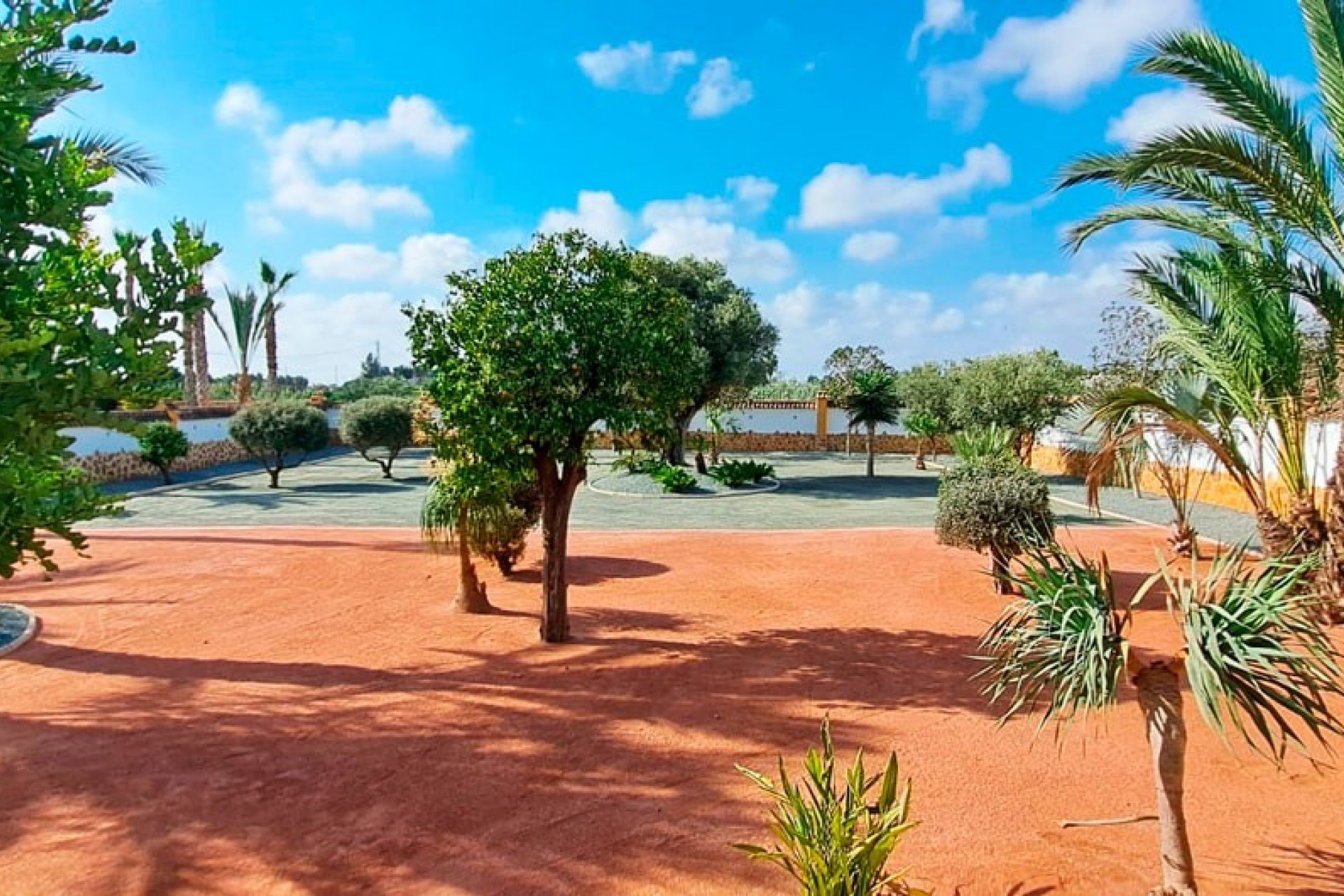 Nueva - Casa de Campo - Catral - Catral - Campo