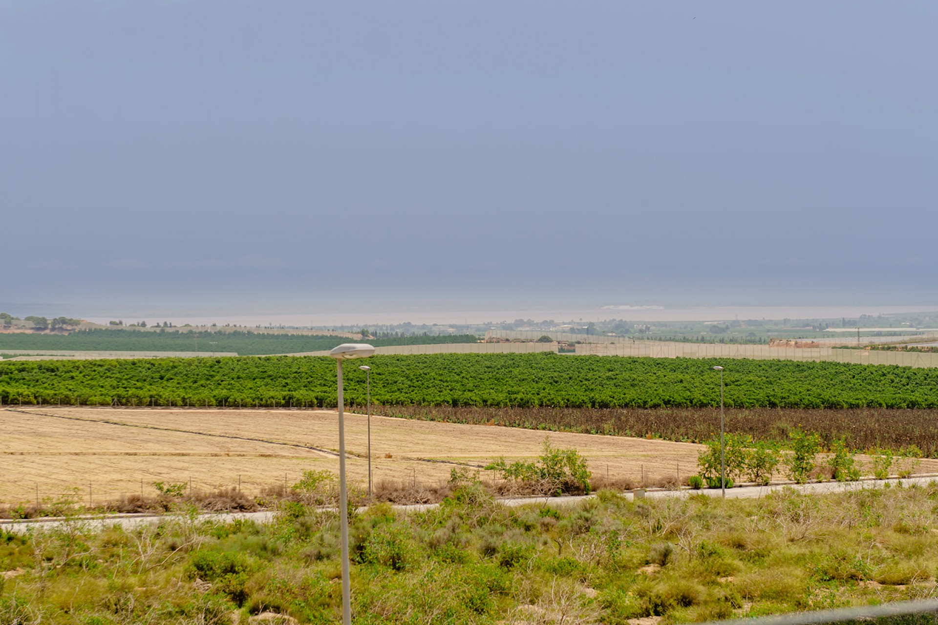 Nueva - Chalet - Los Montesinos - Entre Naranjos / Vistabella Golf