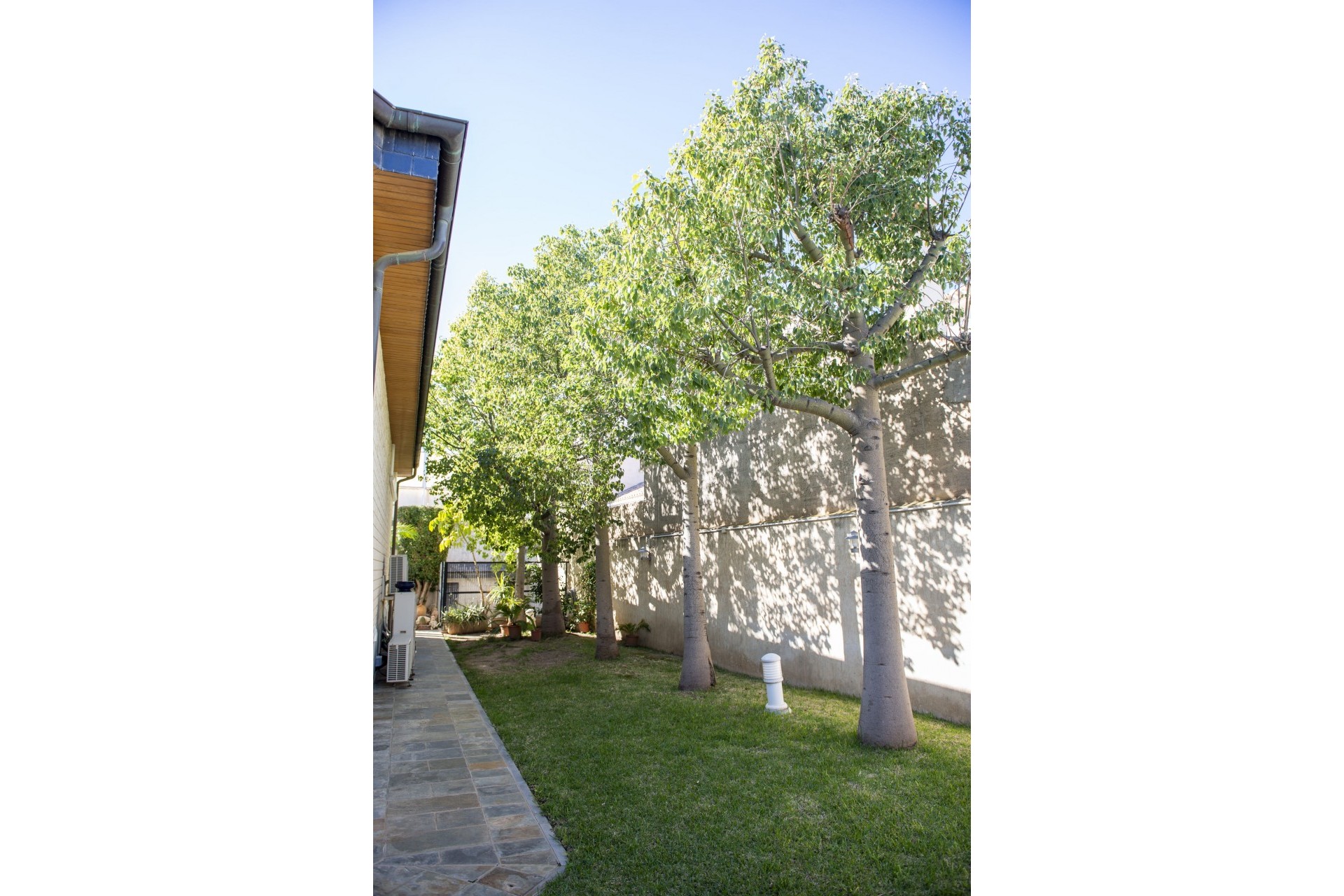 Nueva - Chalet - San Pedro del Pinatar - San Pedro del Pinatar - Pueblo