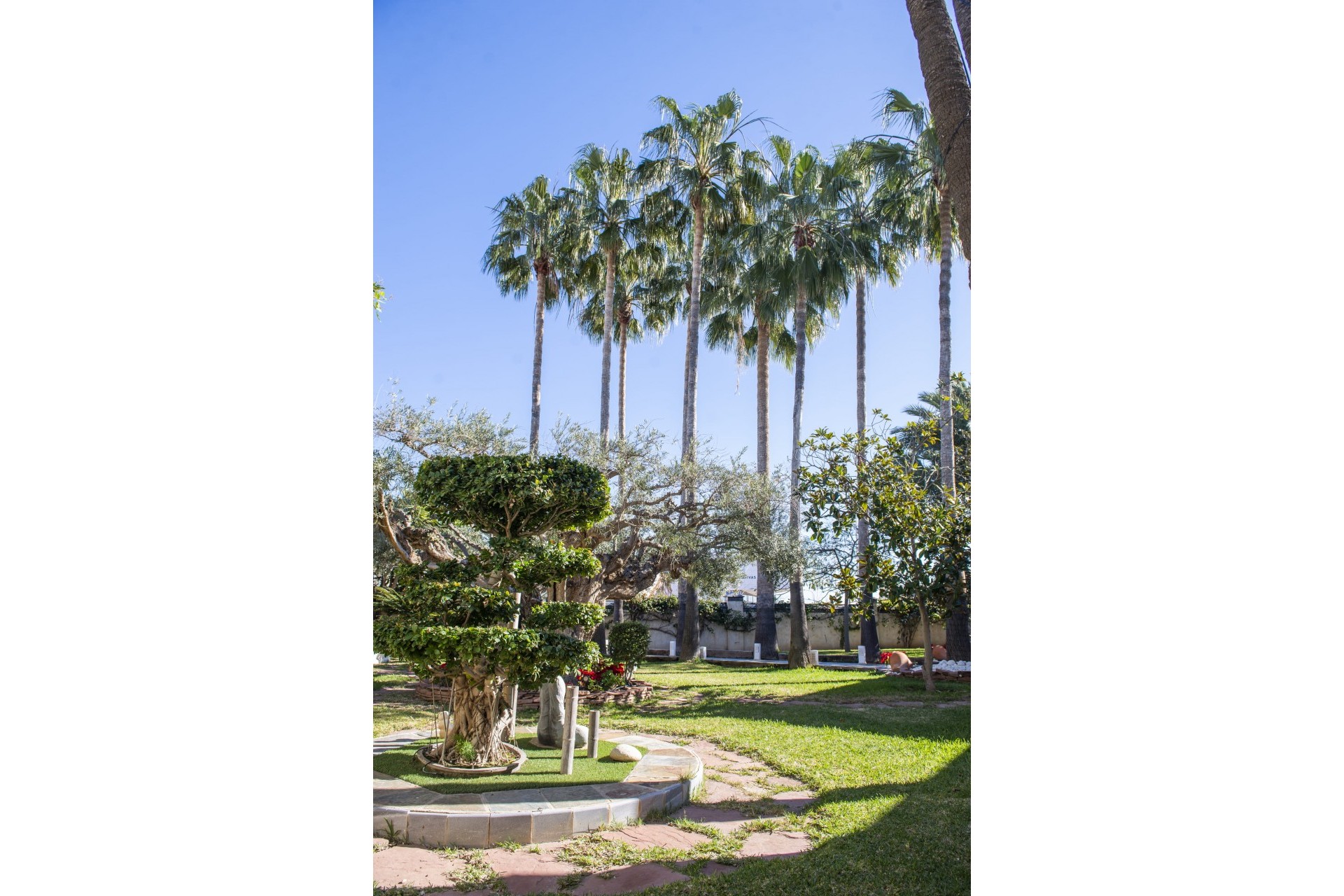 Nueva - Chalet - San Pedro del Pinatar - San Pedro del Pinatar - Pueblo