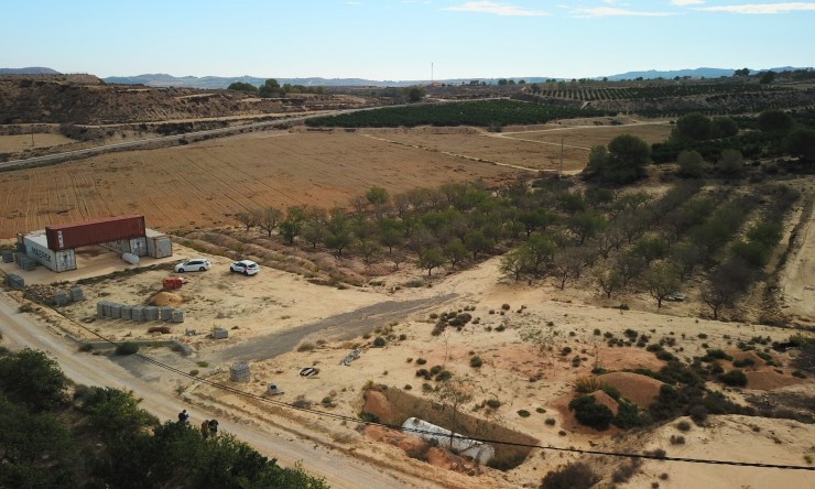 Perceel Grond - Wederverkoop - Torremendo - Torremendo - Veld