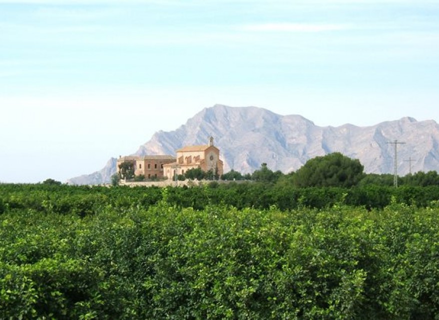 Re-Sale - Apartment - Algorfa - Algorfa - Village