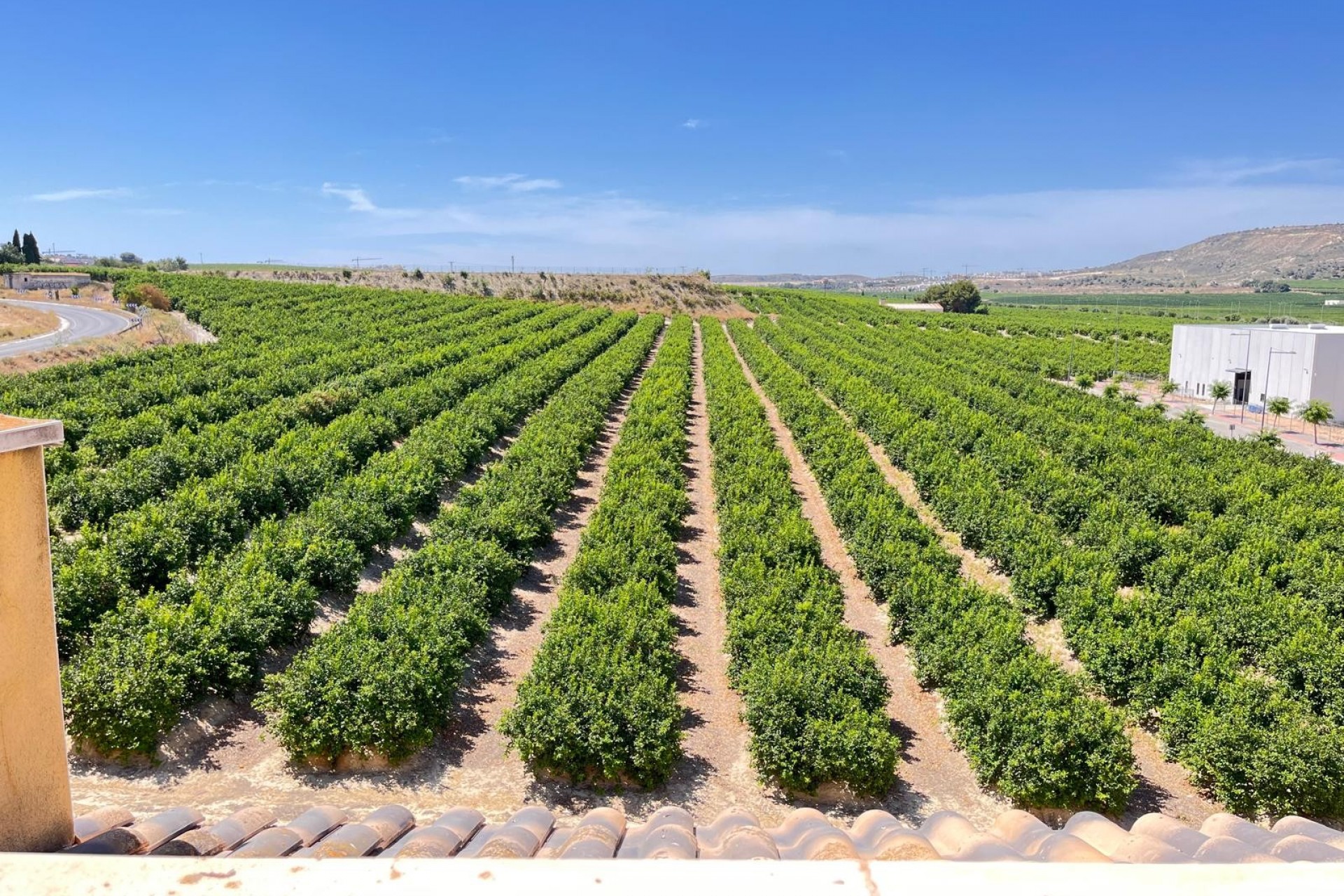 Re-Sale - Apartment - Algorfa - Algorfa - Village