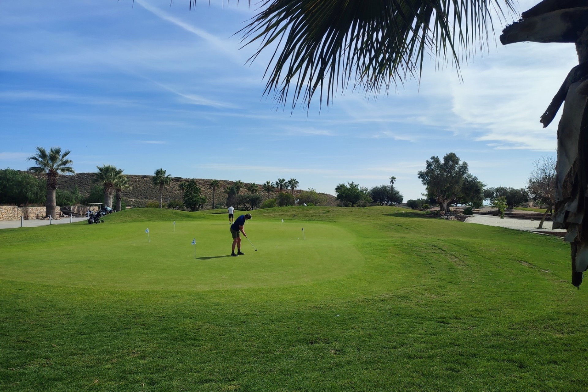 Re-Sale - Apartment - Altaona Golf - Country Village
