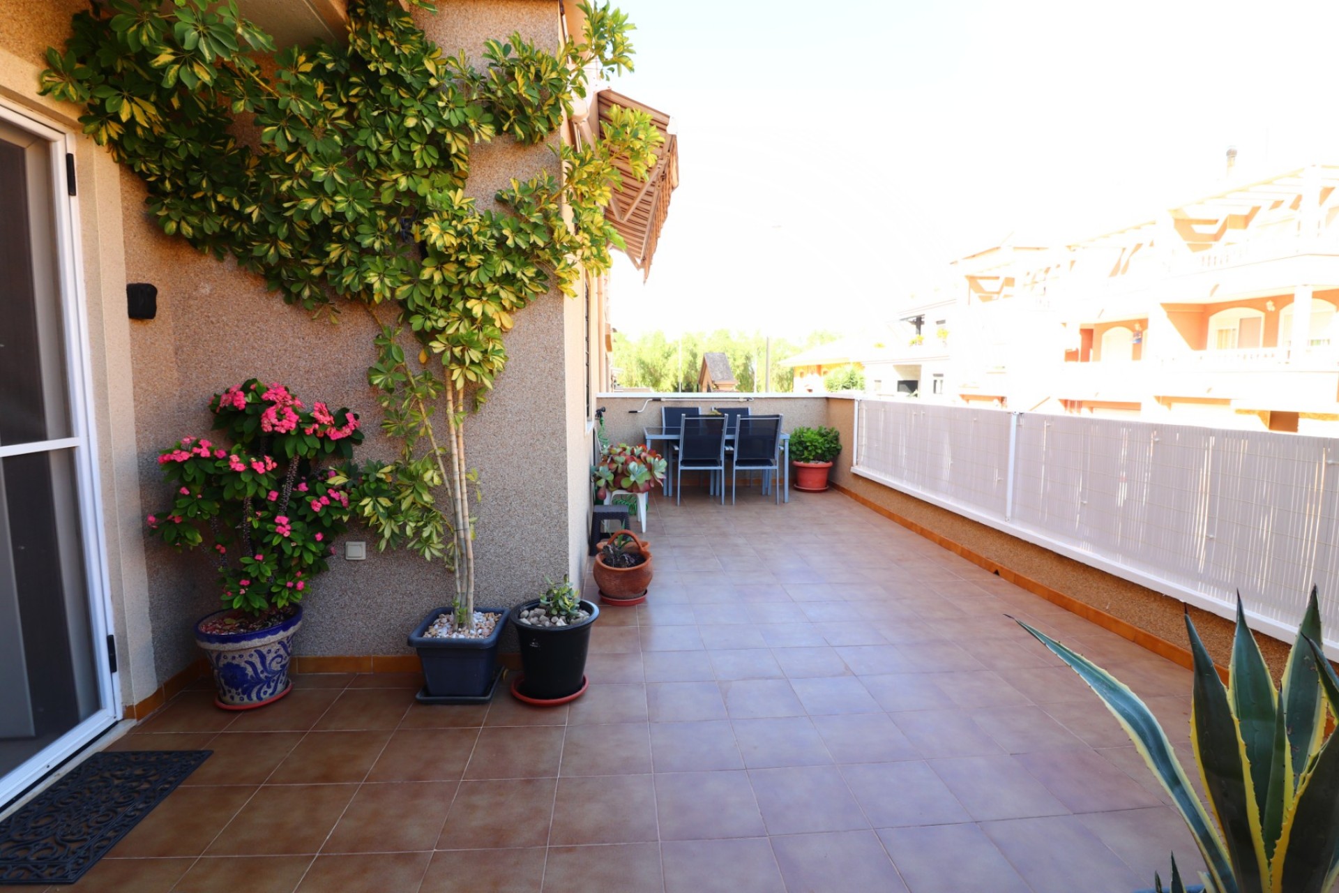 Re-Sale - Apartment - Benejuzar - Benejuzar - Town