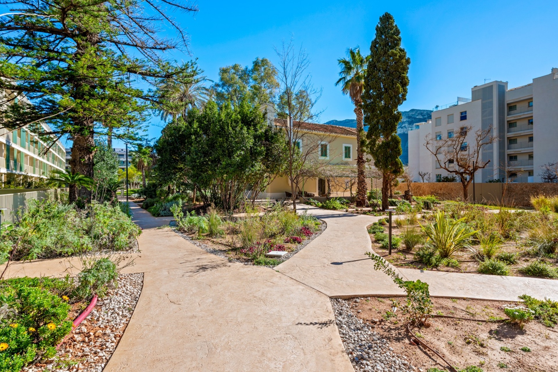 Re-Sale - Apartment - Denia - Denia - Town