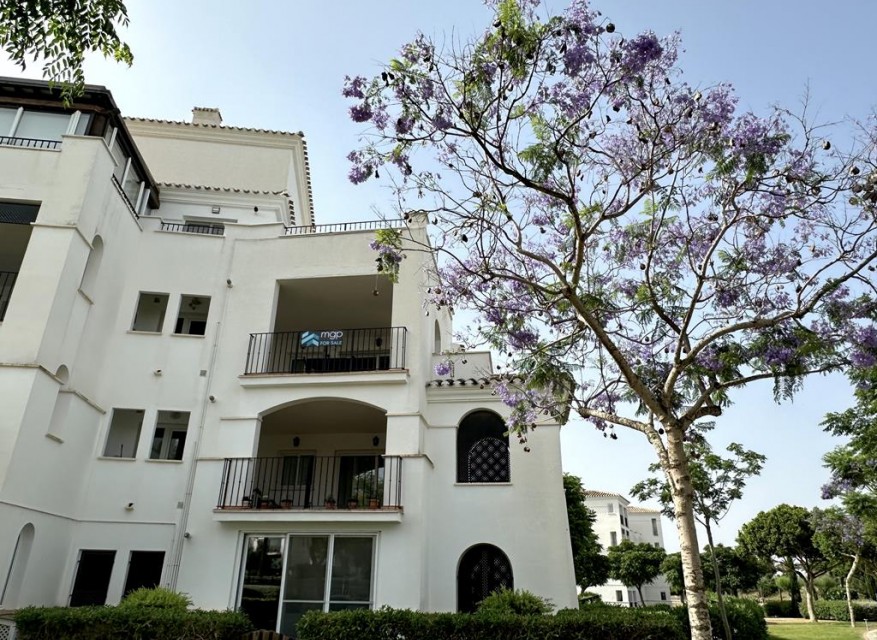 Re-Sale - Apartment - Hacienda Riquelme Golf Resort - Hacienda Riquelme Golf Resort - Centre