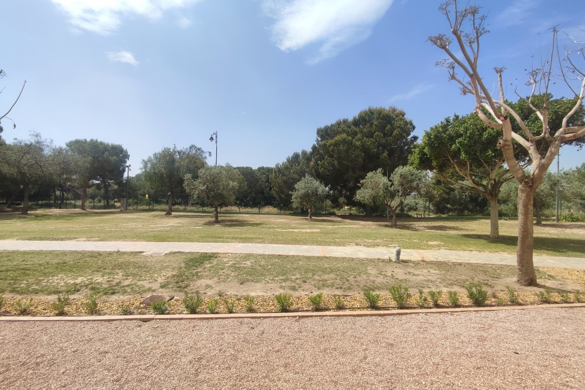 Re-Sale - Apartment - Hacienda Riquelme Golf Resort - Hacienda Riquelme Golf Resort - Centre