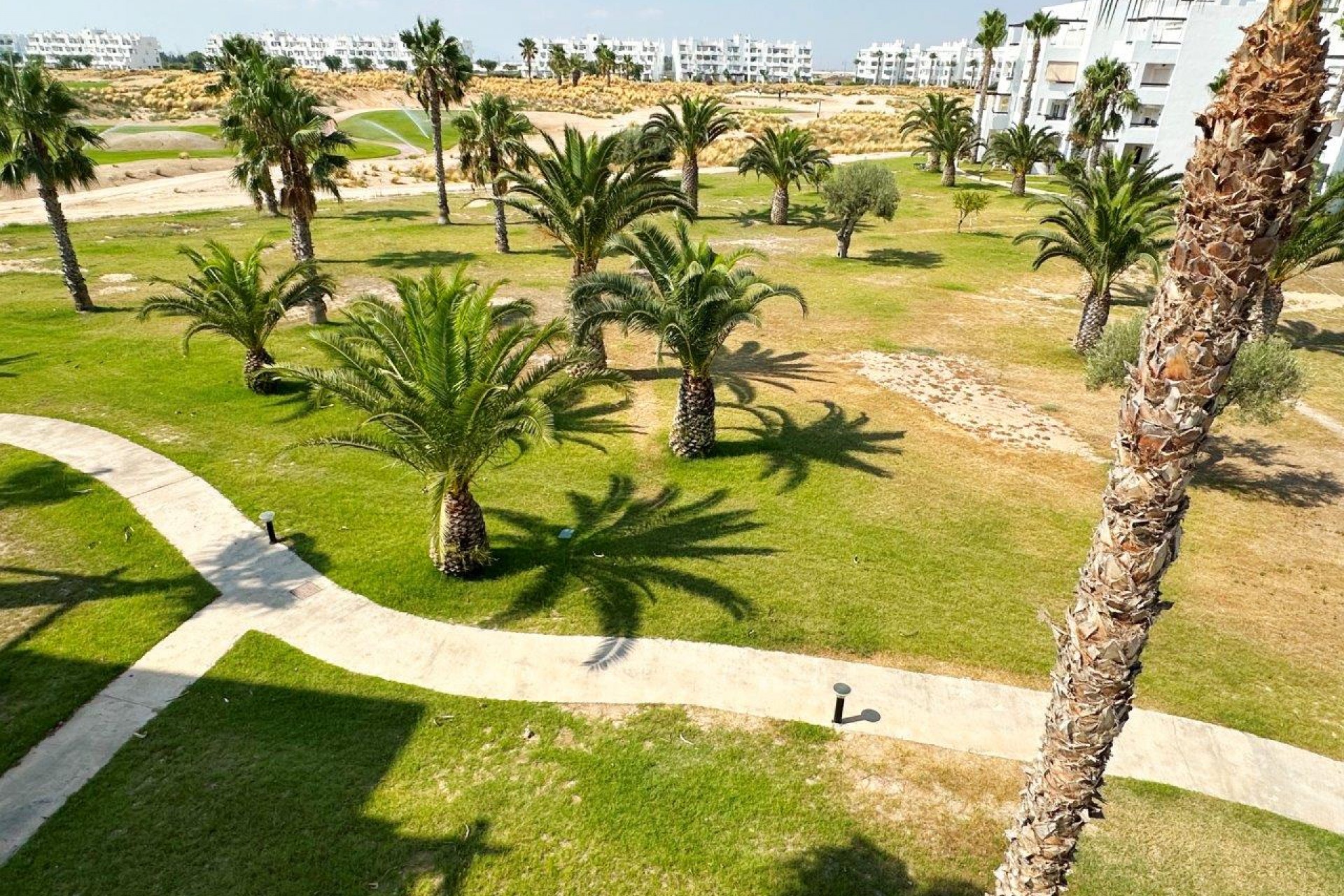 Re-Sale - Apartment - Las Terrazas de La Torre Golf Resort - Terrazas de la Torre Golf Resort