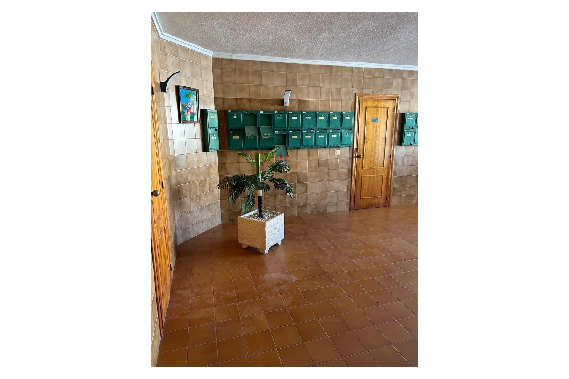 Re-Sale - Apartment - Orihuela Costa - Cabo Roig