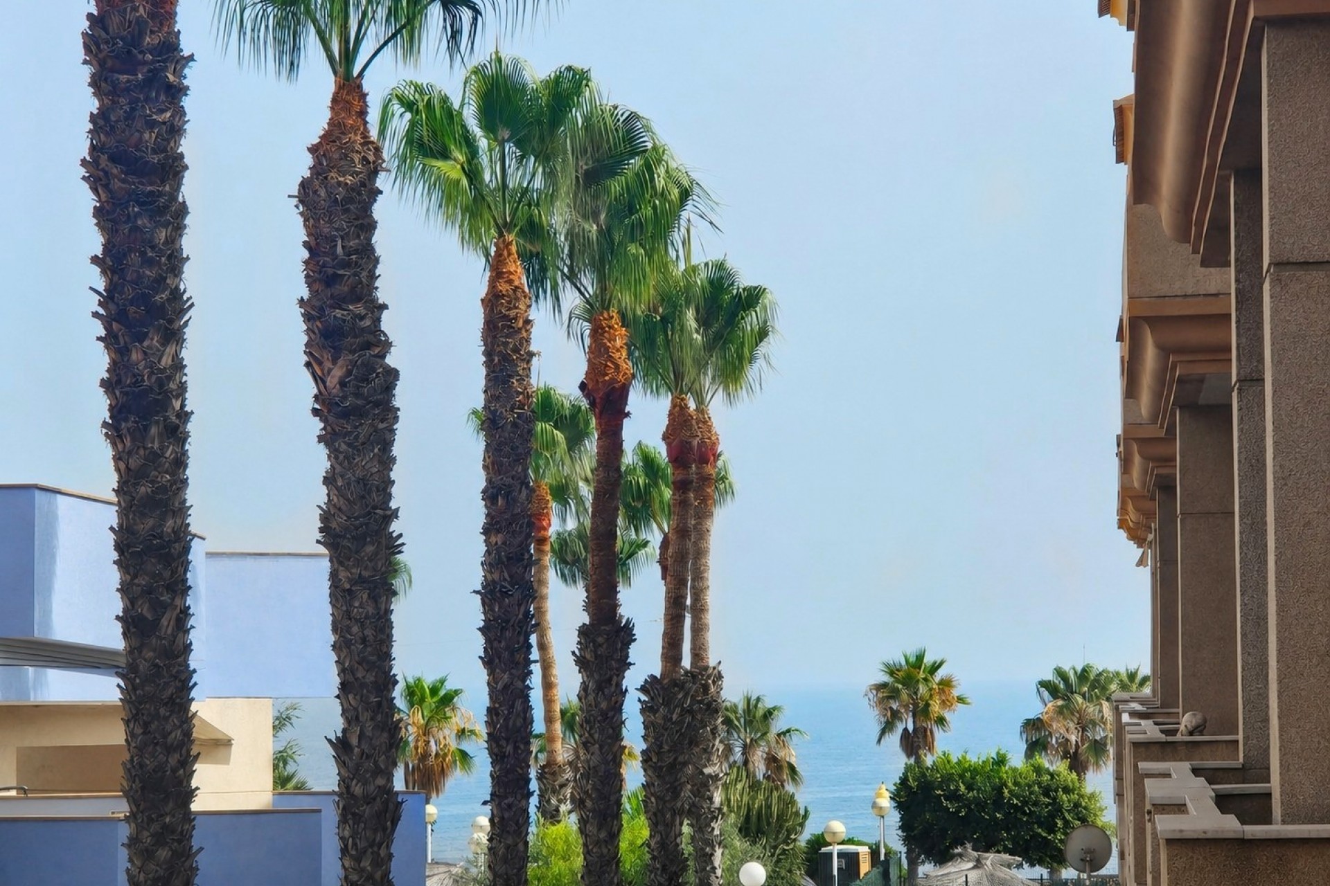 Re-Sale - Apartment - Orihuela Costa - Cabo Roig