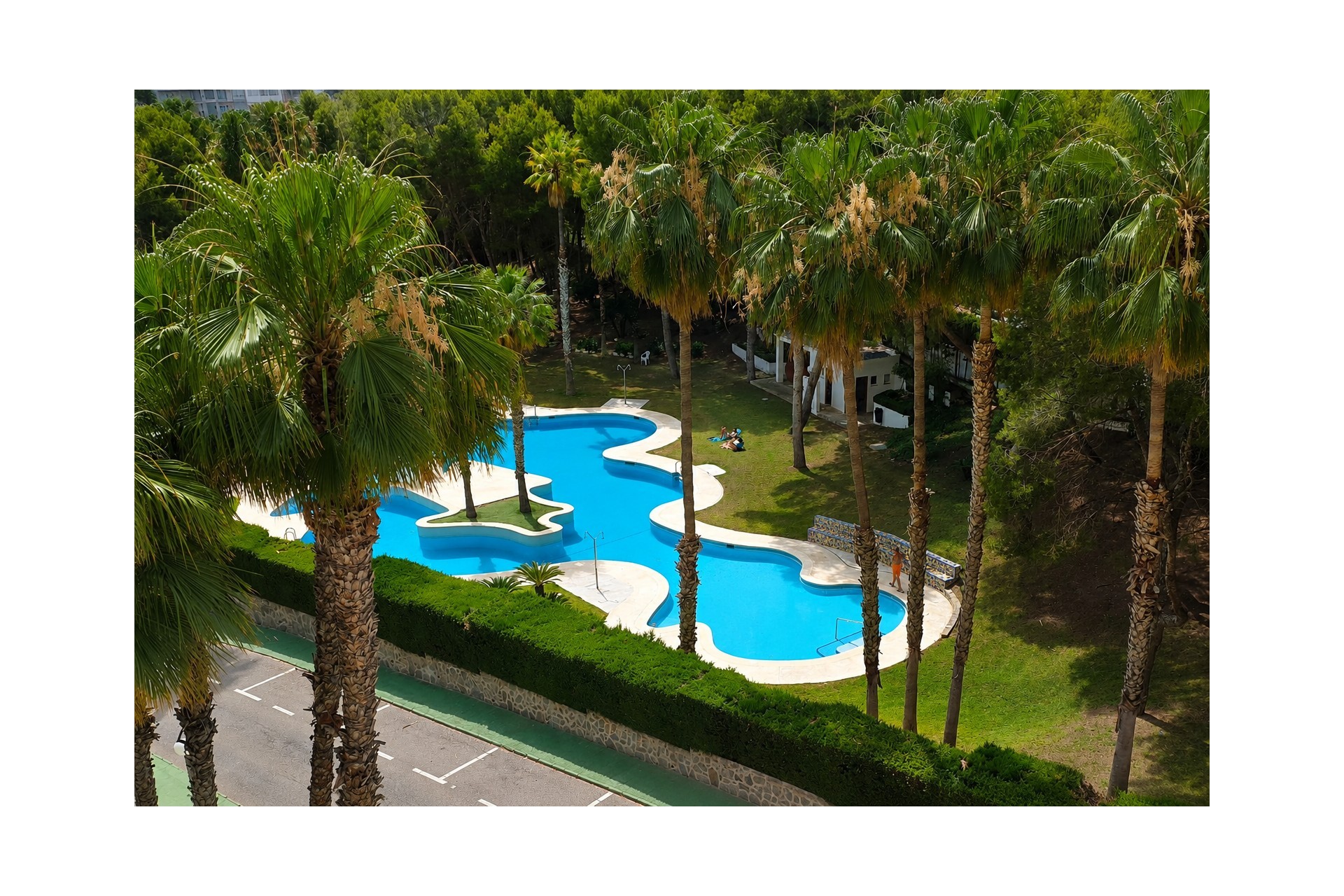 Re-Sale - Apartment - Orihuela Costa - Dehesa de Campoamor