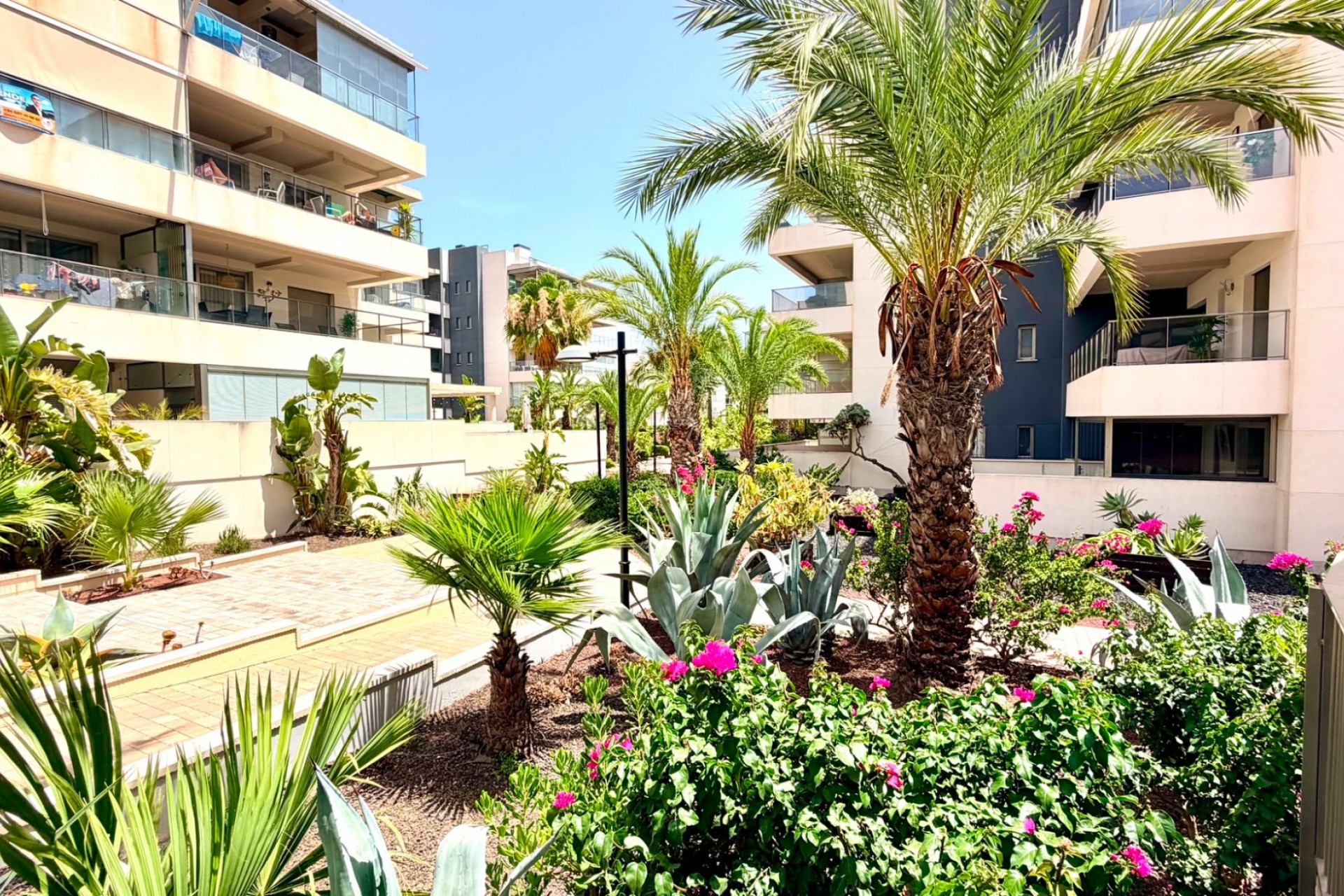 Re-Sale - Apartment - Orihuela Costa - La Zenia