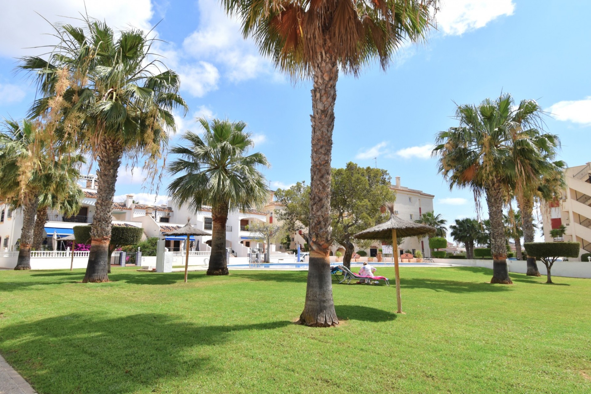 Re-Sale - Apartment - Orihuela Costa - Playa Flamenca