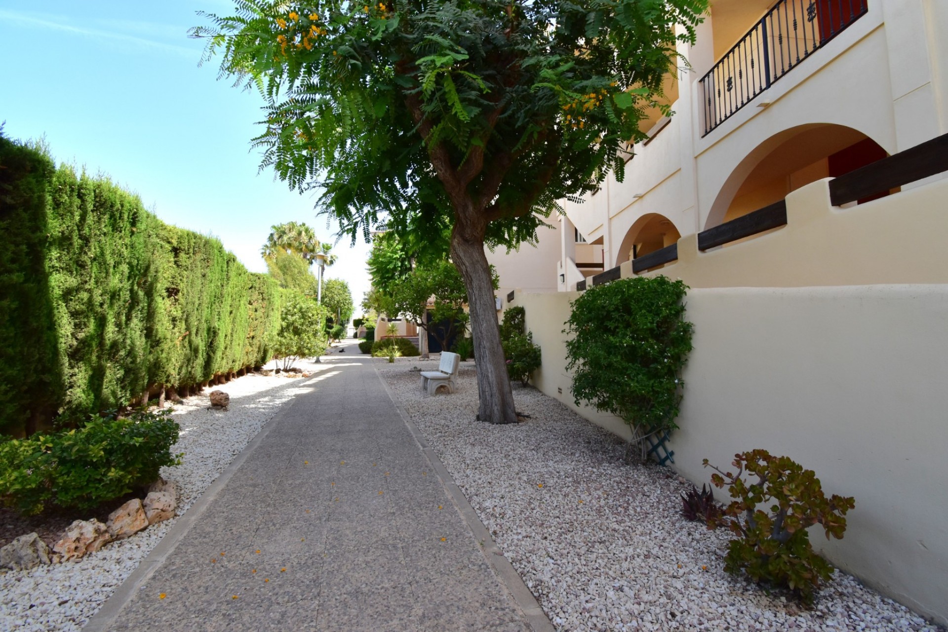 Re-Sale - Apartment - Orihuela Costa - Playa Flamenca