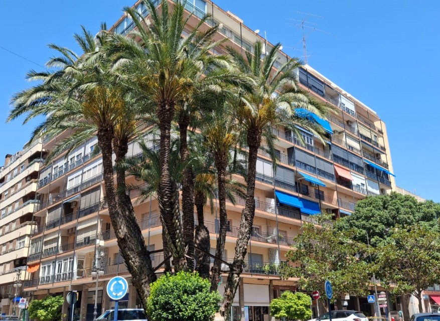 Re-Sale - Apartment - Orihuela - Orihuela - City
