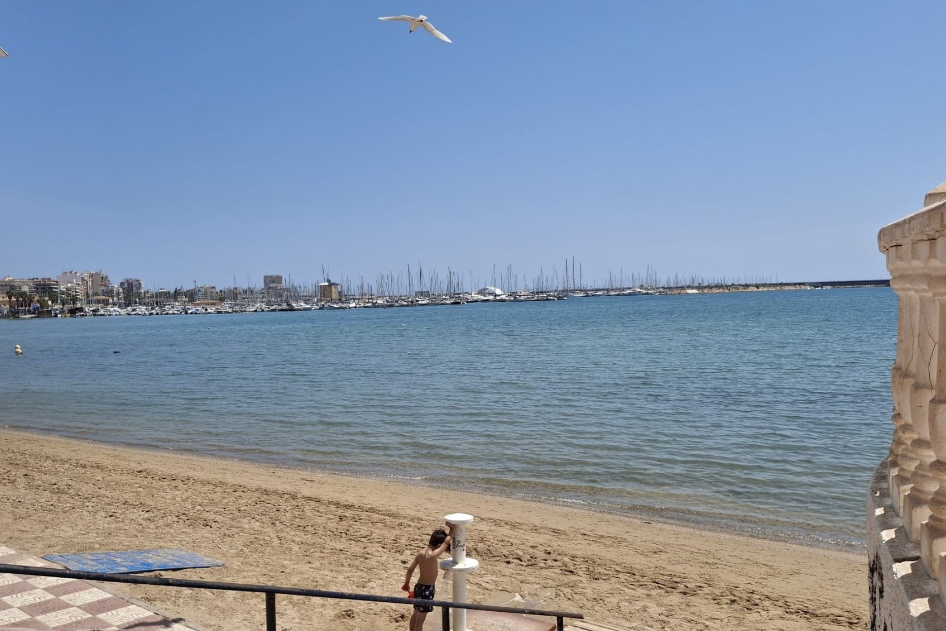 Re-Sale - Apartment - Torrevieja - Playa Acequion
