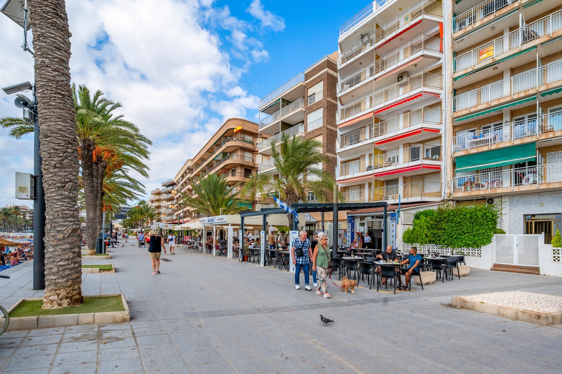 Re-Sale - Apartment - Torrevieja - Playa Del Cura