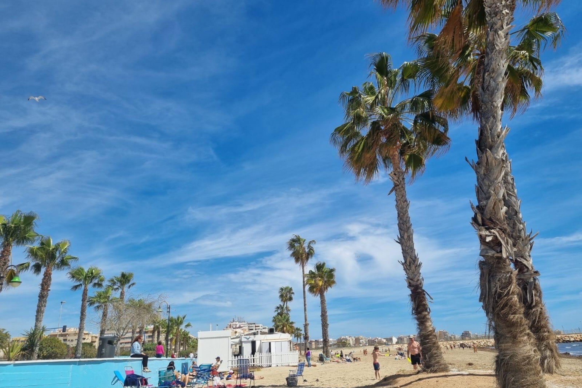 Re-Sale - Apartment - Torrevieja - Playa Los Naufragos